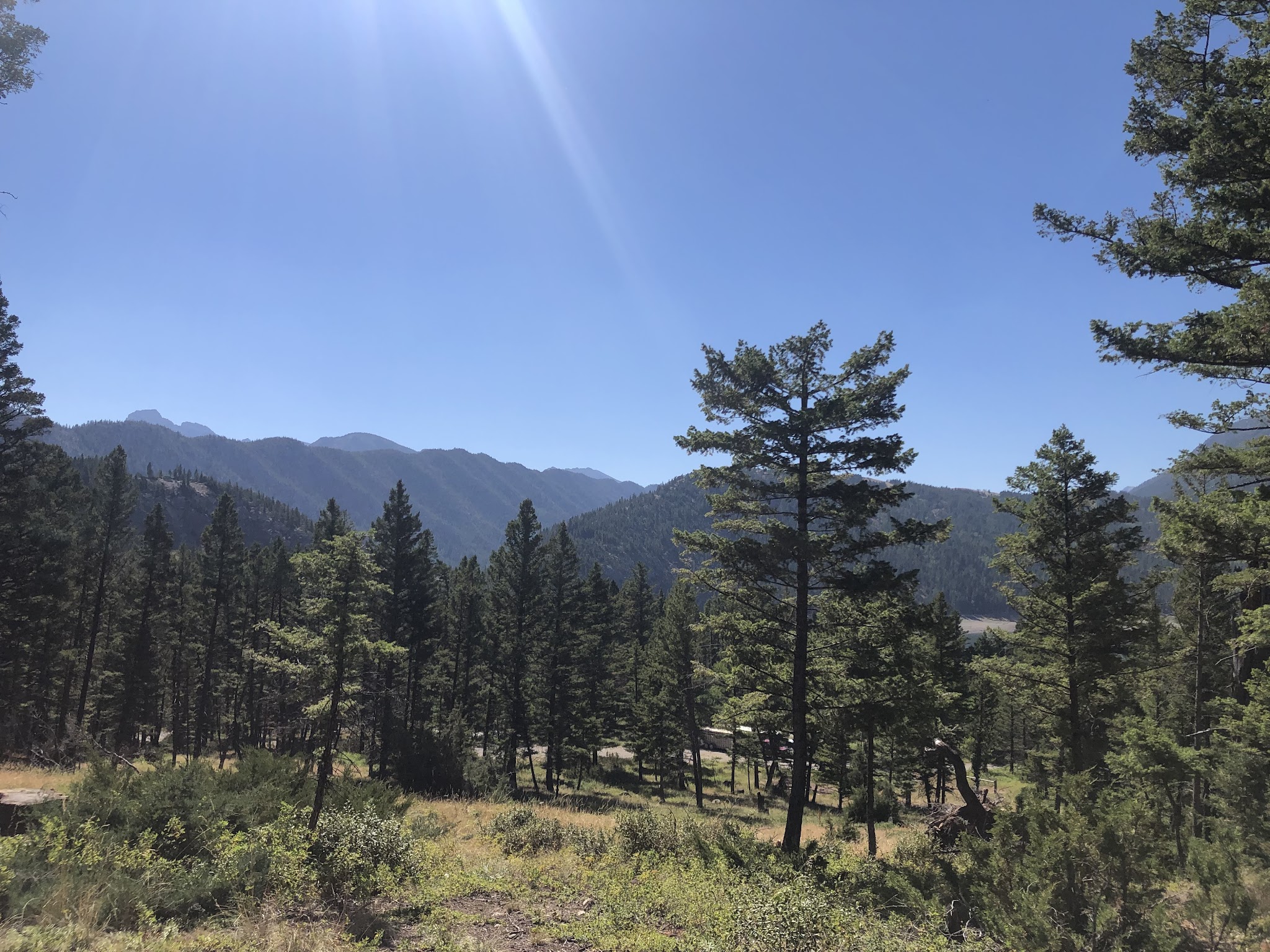 Mortimer Gulch Campground