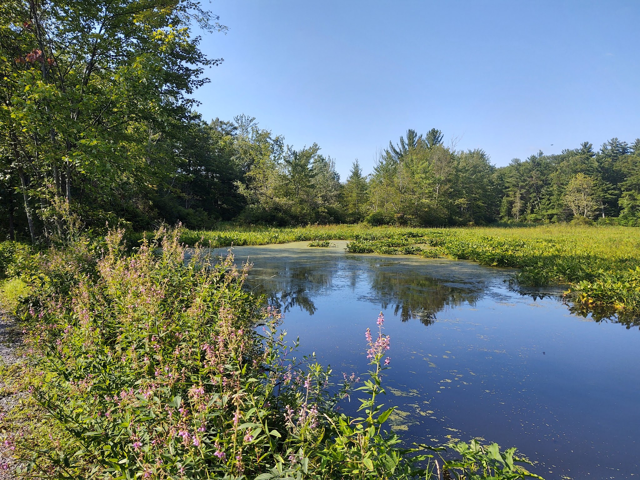 Verona Beach State Park