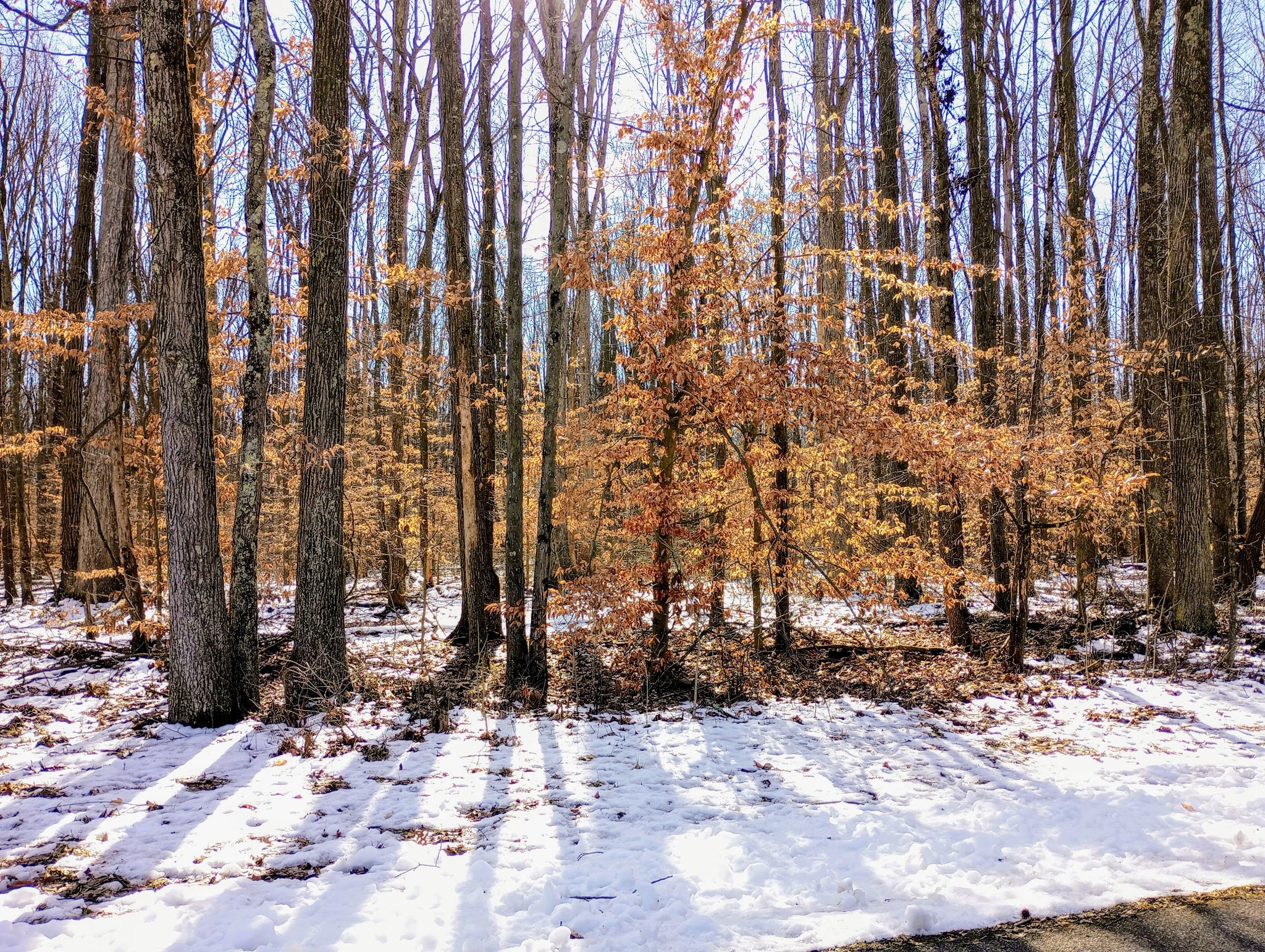 Versailles State Park