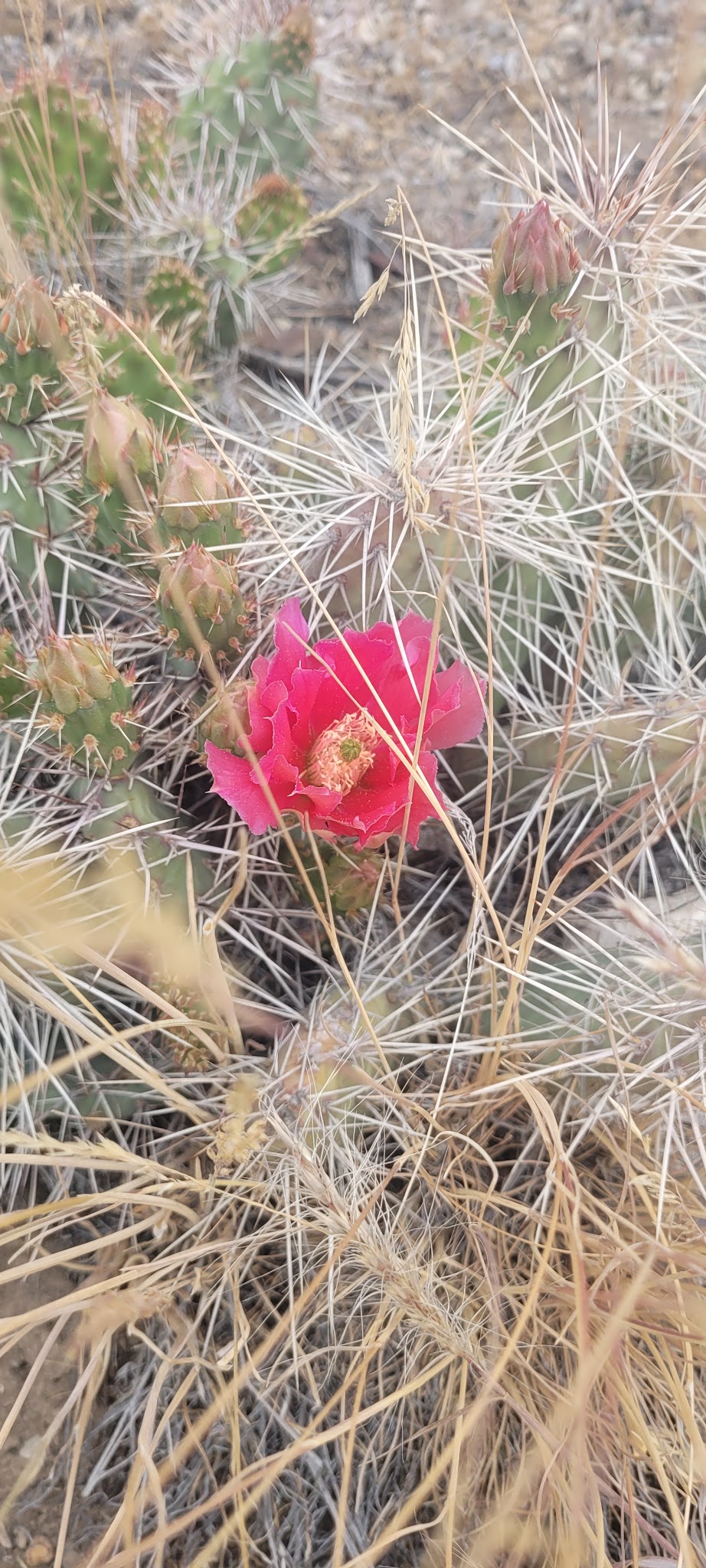 Timber Creek Campground