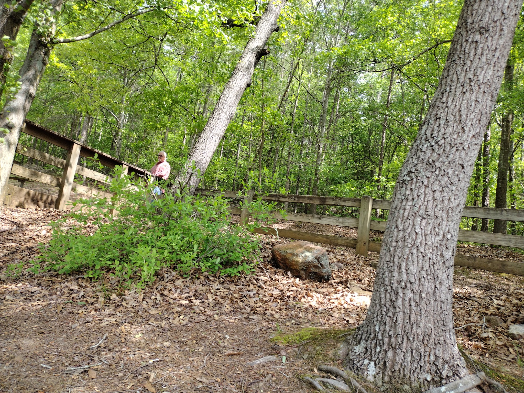 Victoria Bryant State Park