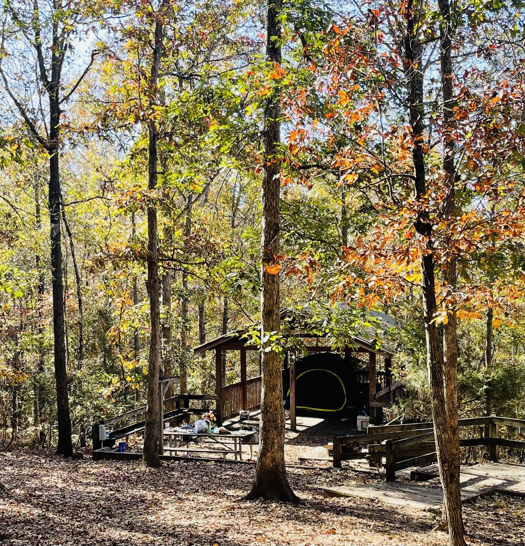 Victoria Bryant State Park