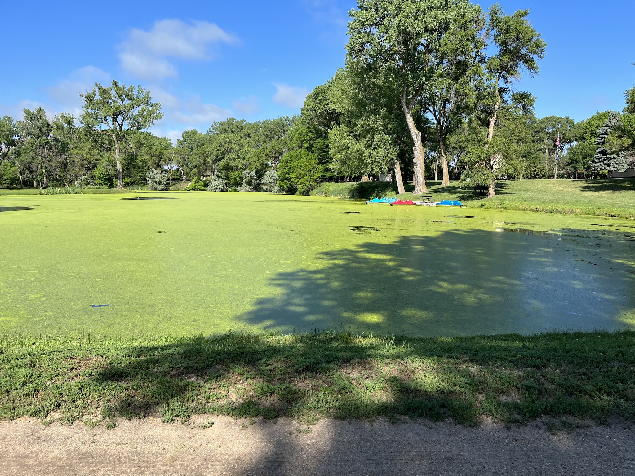 Victoria Springs Sra