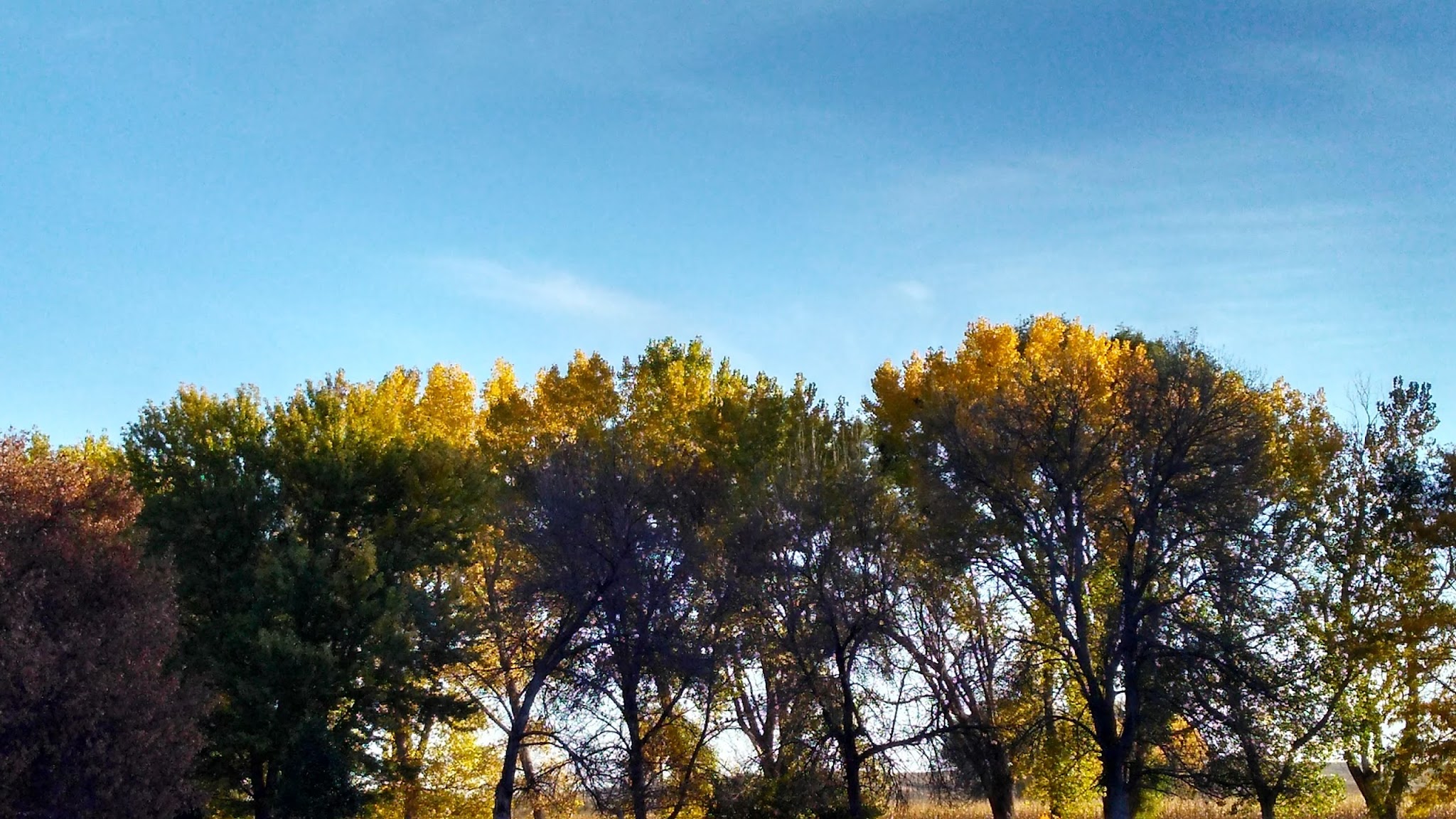 Victoria Springs Sra