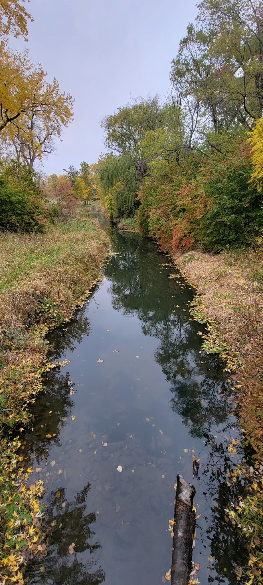 Victoria Springs Sra