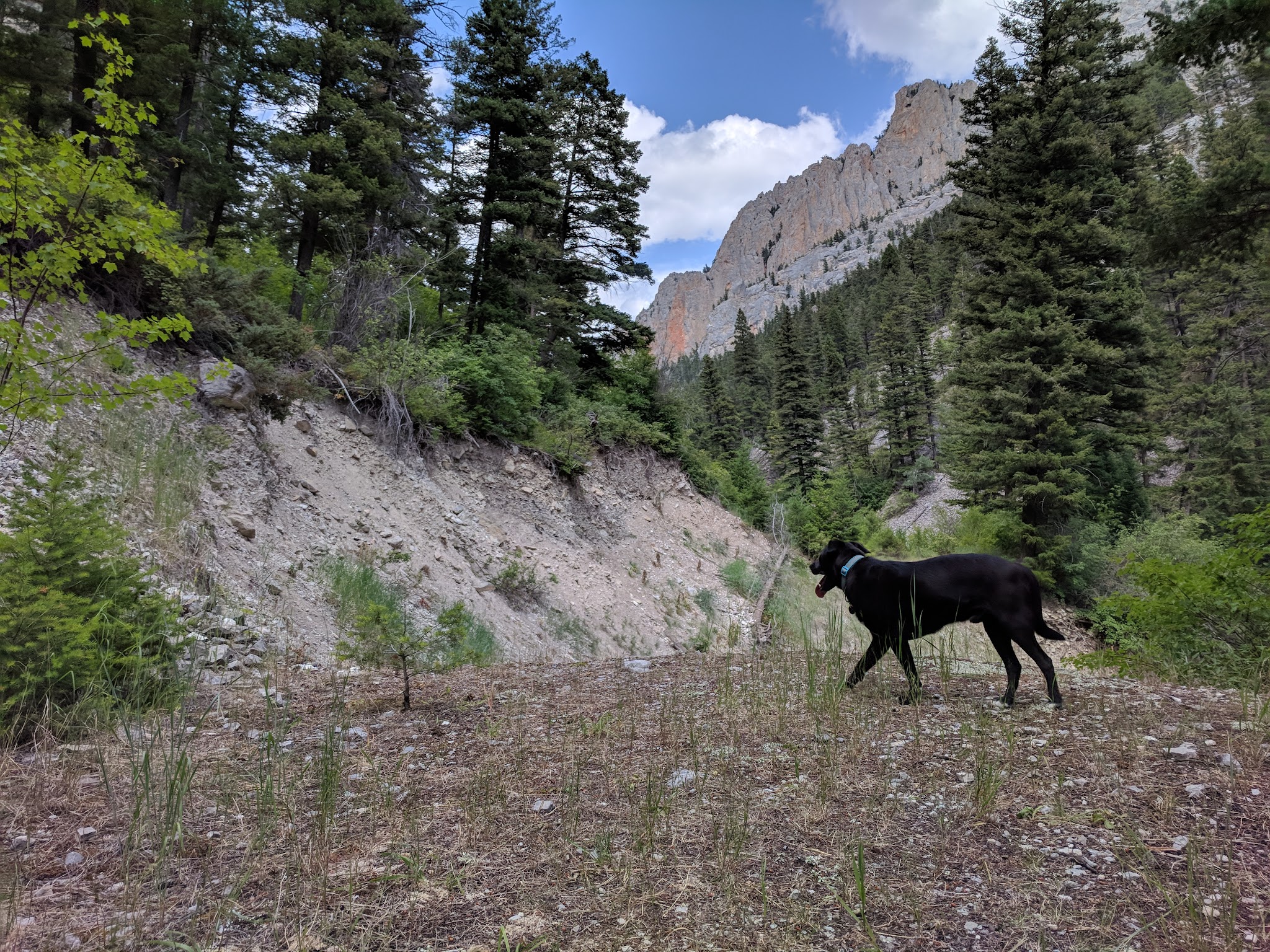Vigilante Campground