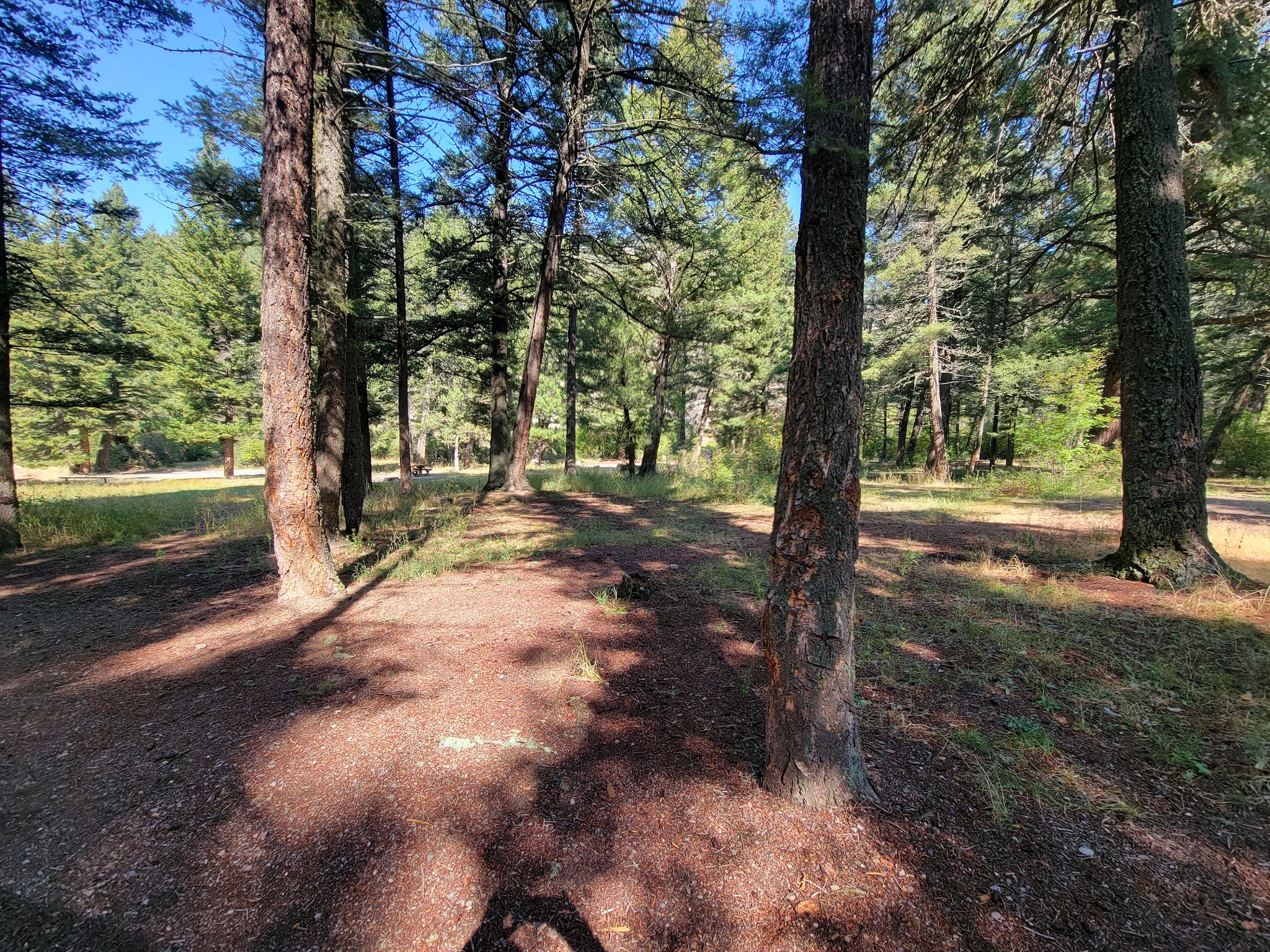 Vigilante Campground