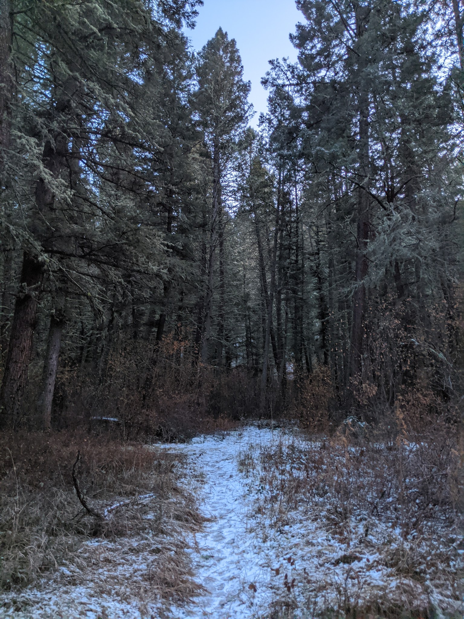 Vigilante Campground