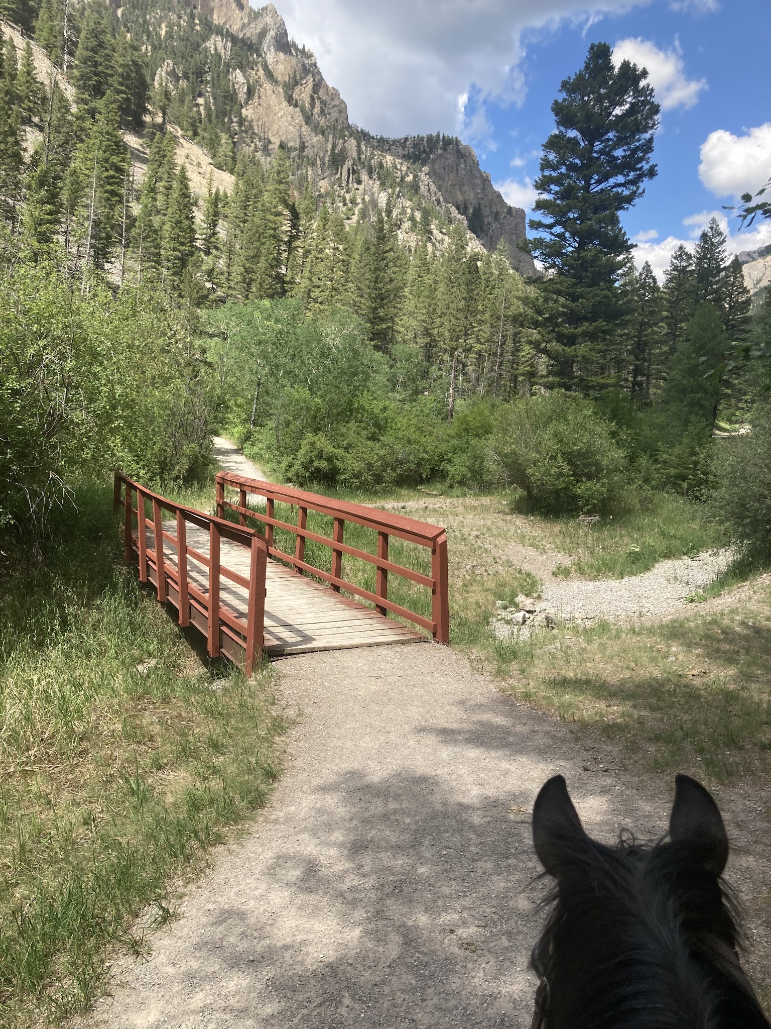 Vigilante Campground