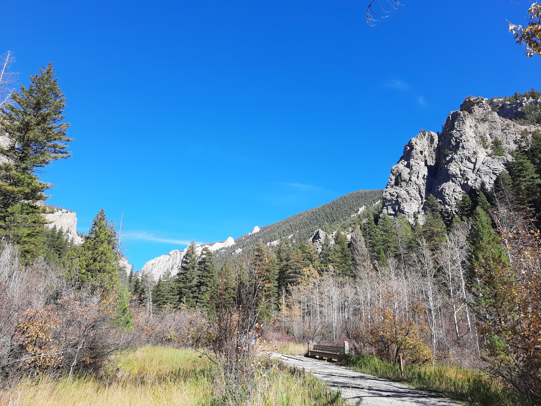 Vigilante Campground