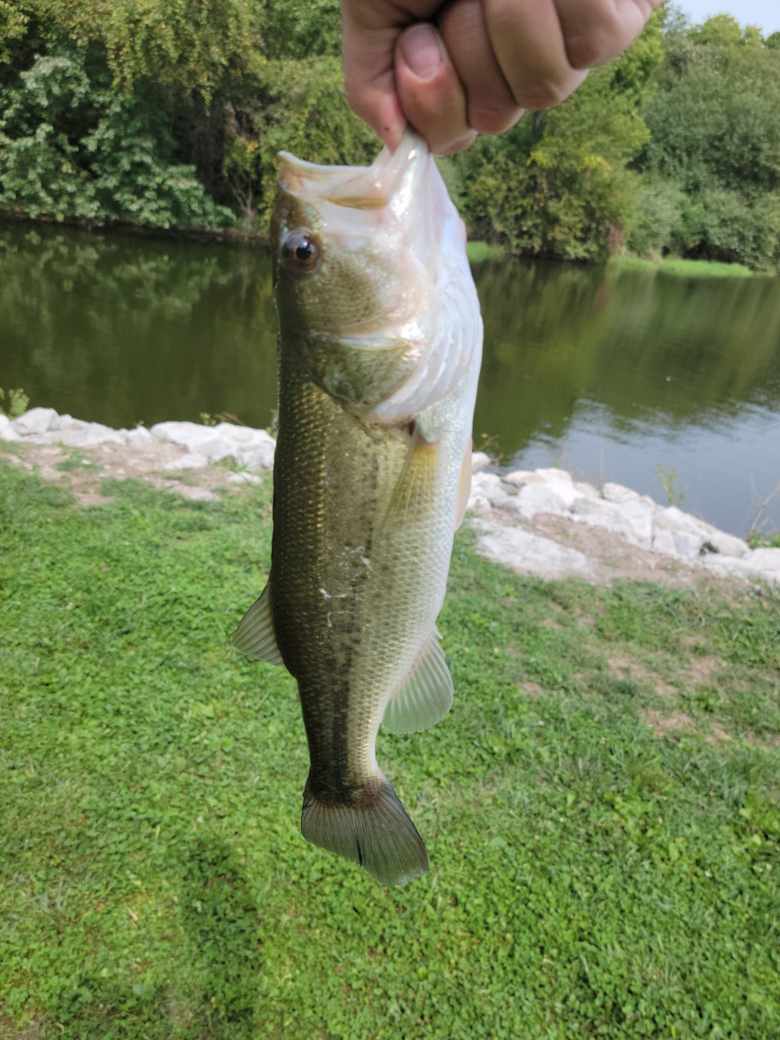 Viking Lake State Park