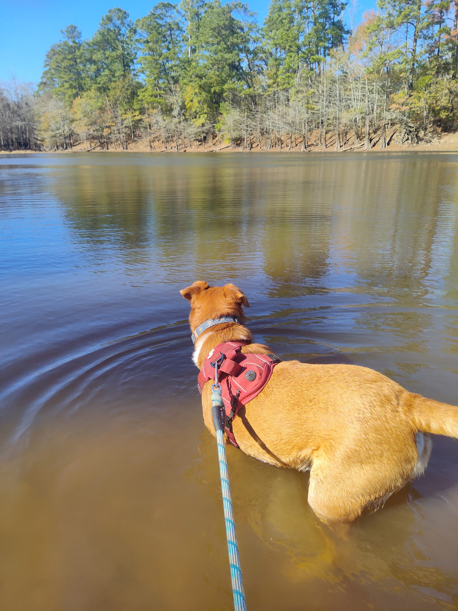 Village Creek State Park