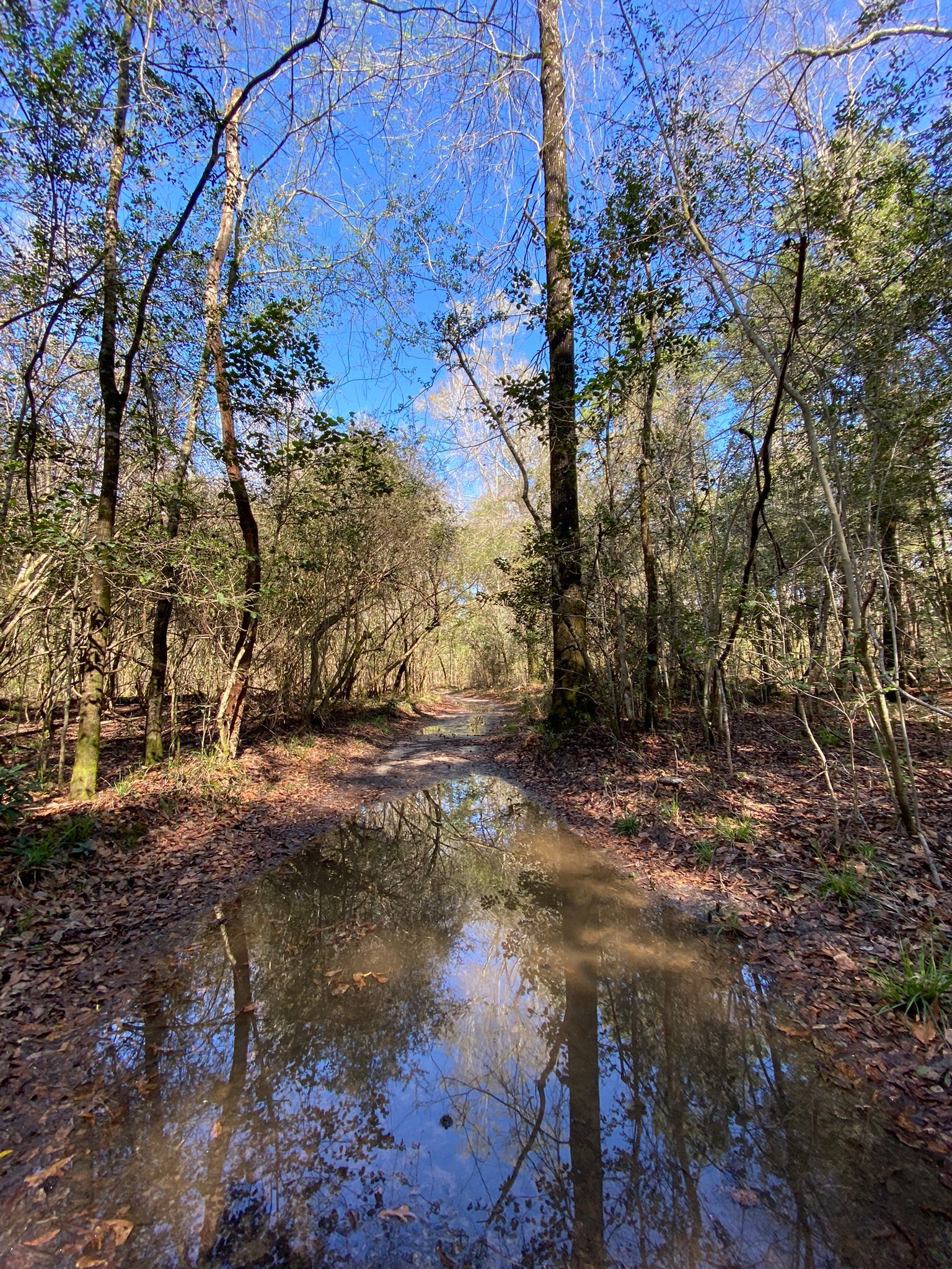 Village Creek State Park