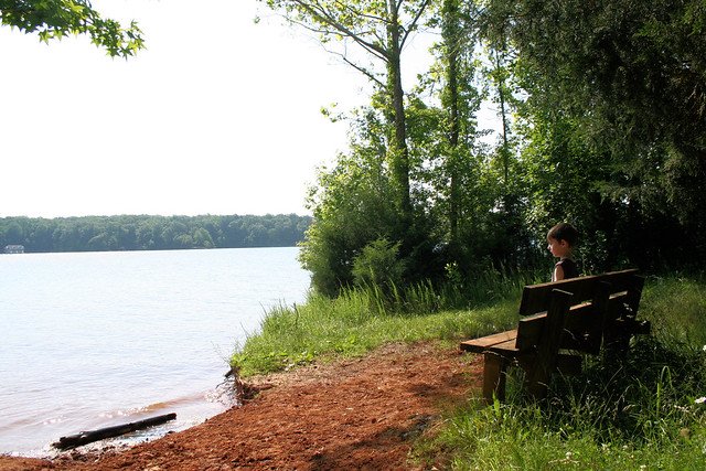 Lake Anna State Park Campground
