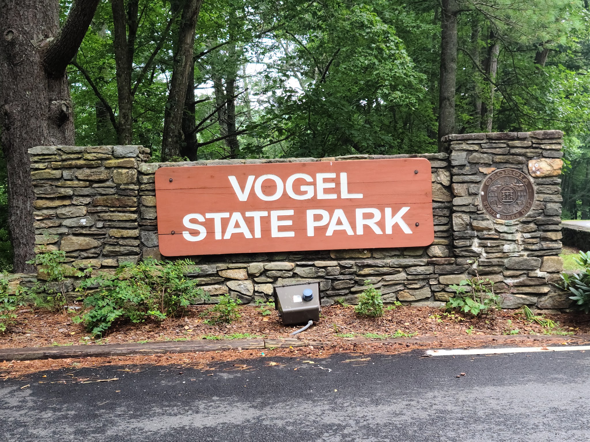 Vogel State Park