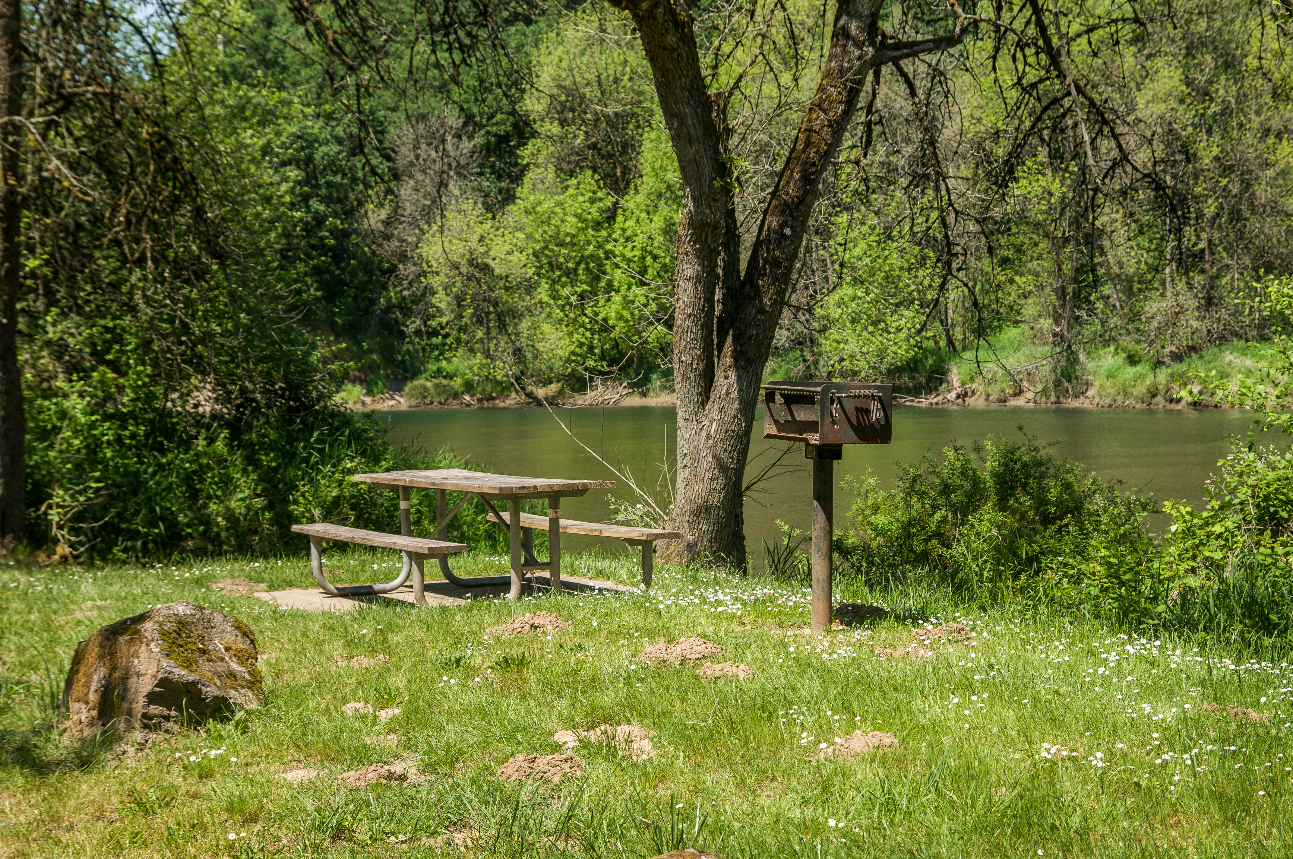 Paradise Point State Park