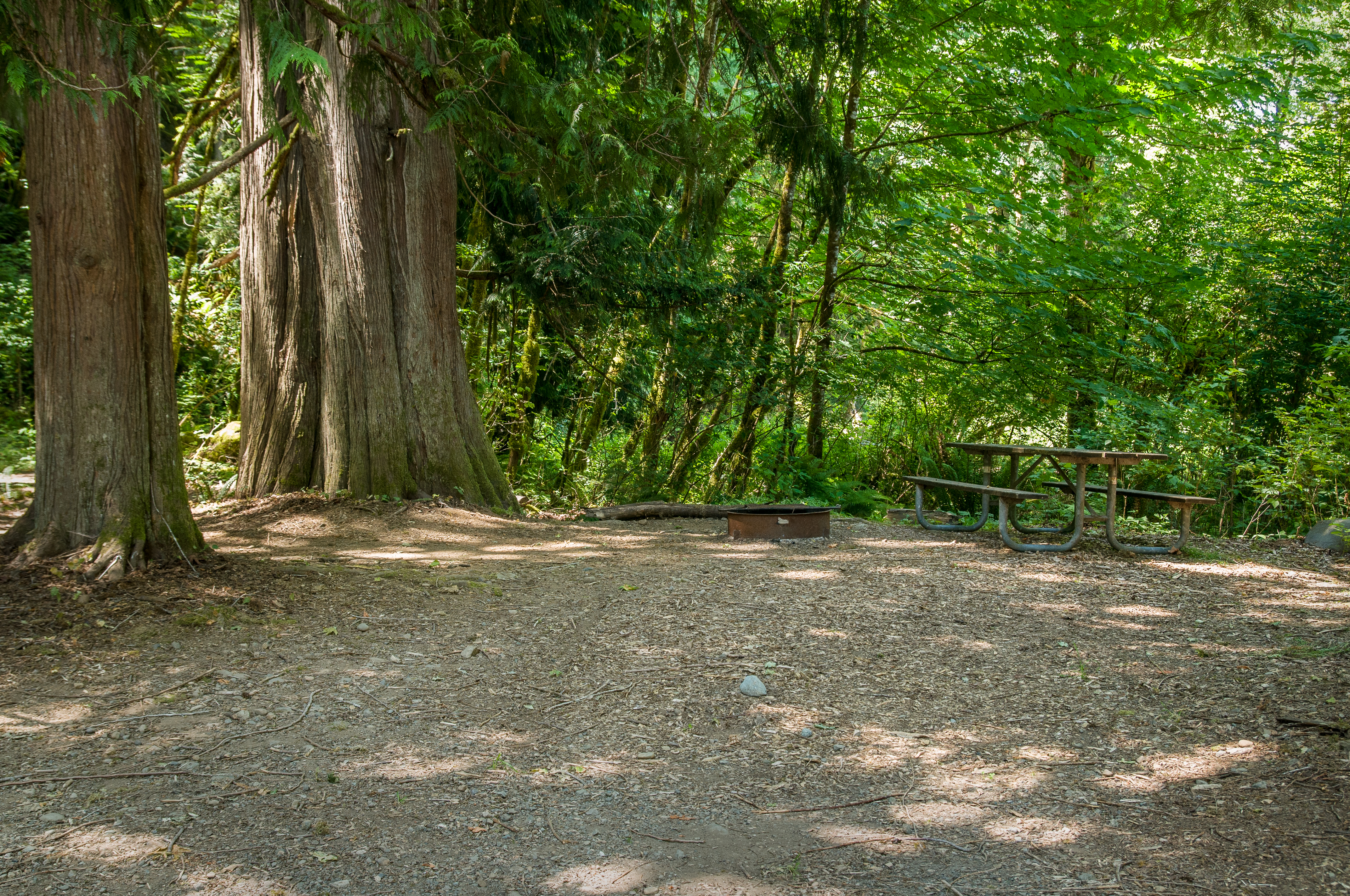 Dosewallips State Park