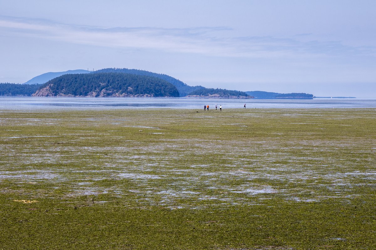 Washington State Parks