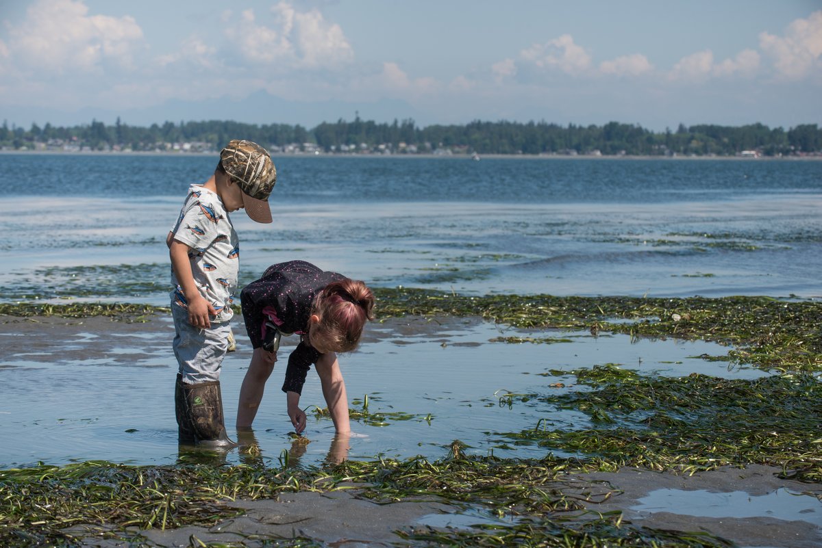 Birch Bay State Park