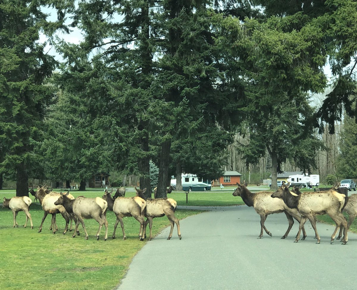 Washington State Parks