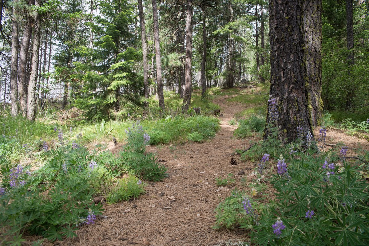 Washington State Parks