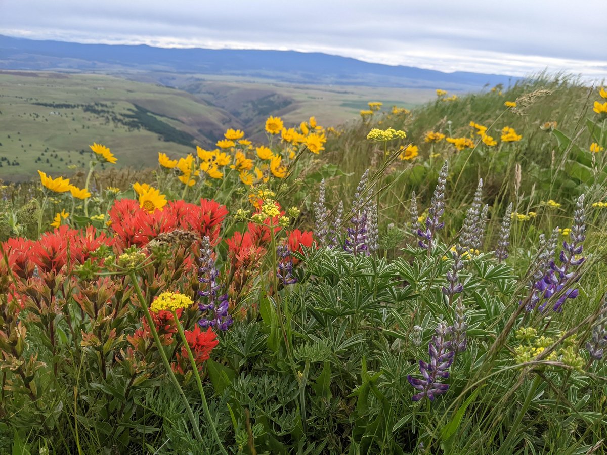 Washington State Parks