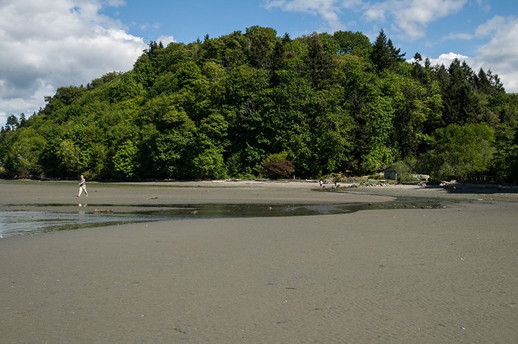Dash Point State Park