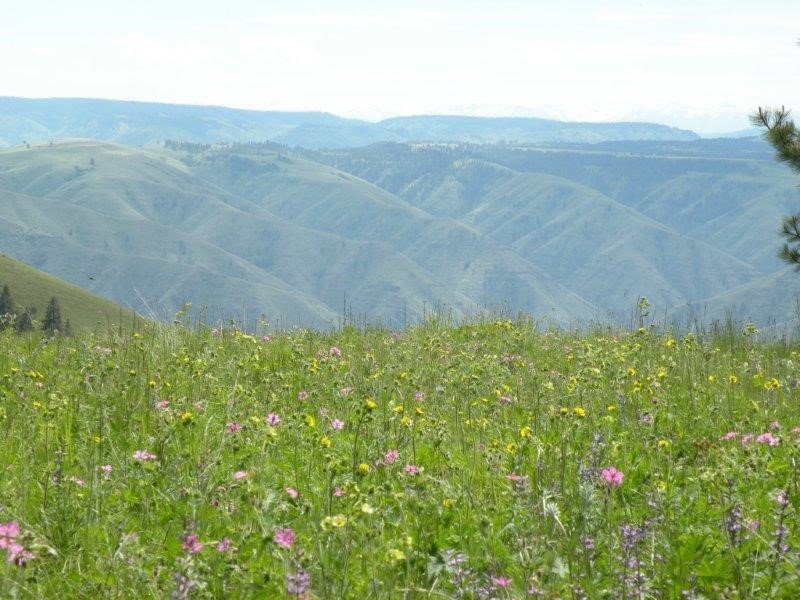Fields Spring State Park