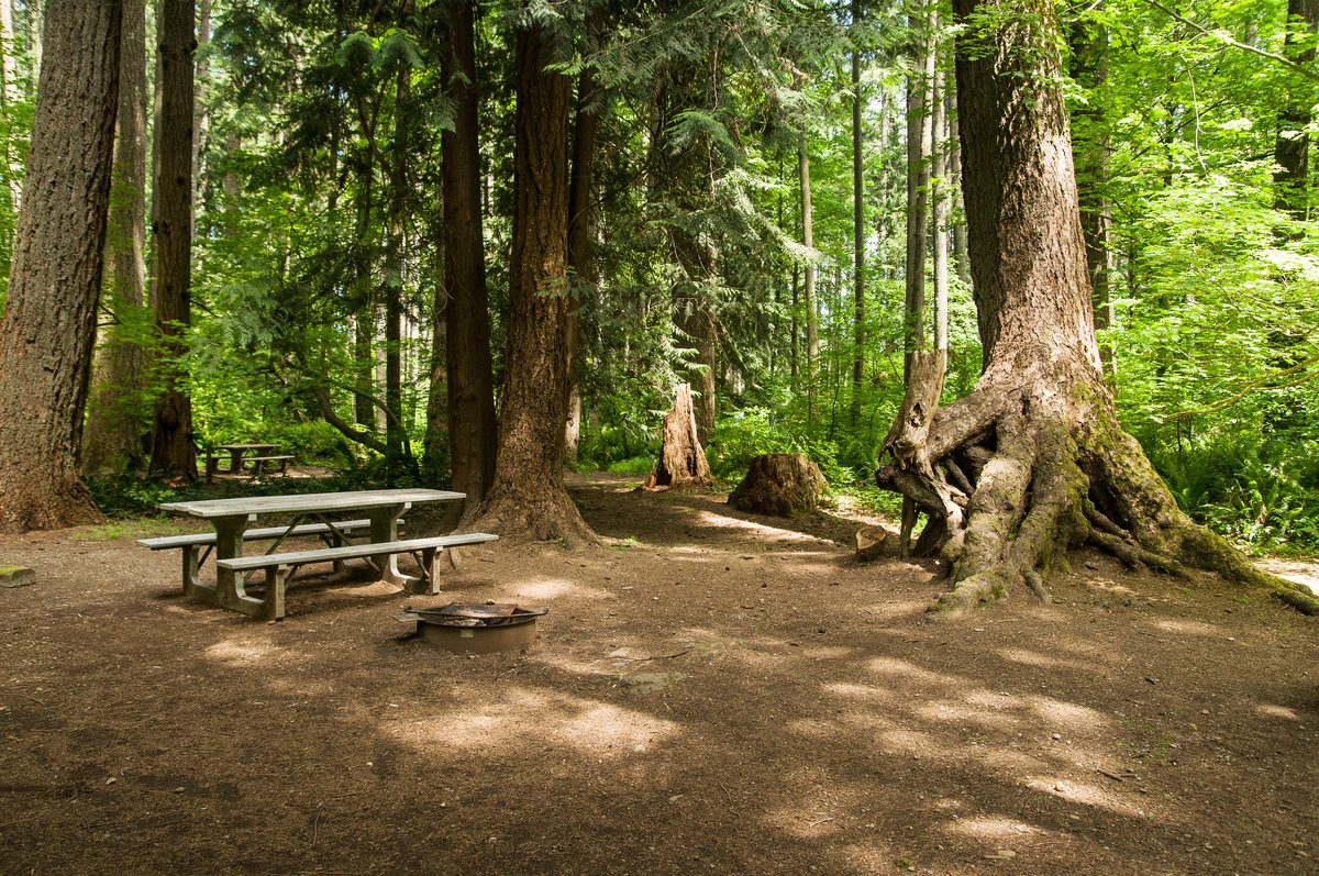 Millersylvania State Park