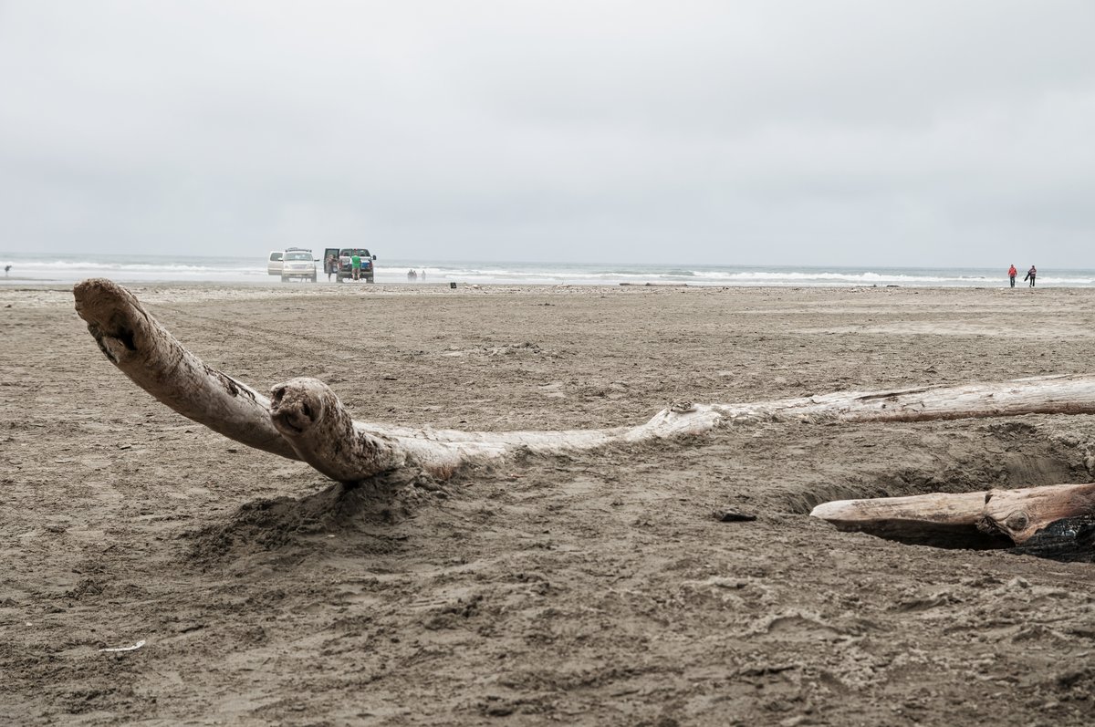 Ocean City State Park