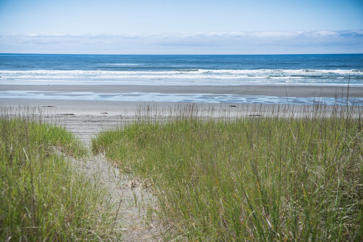 Twin Harbors State Park