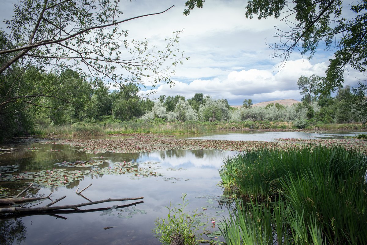 Yakima Sportsman State Park