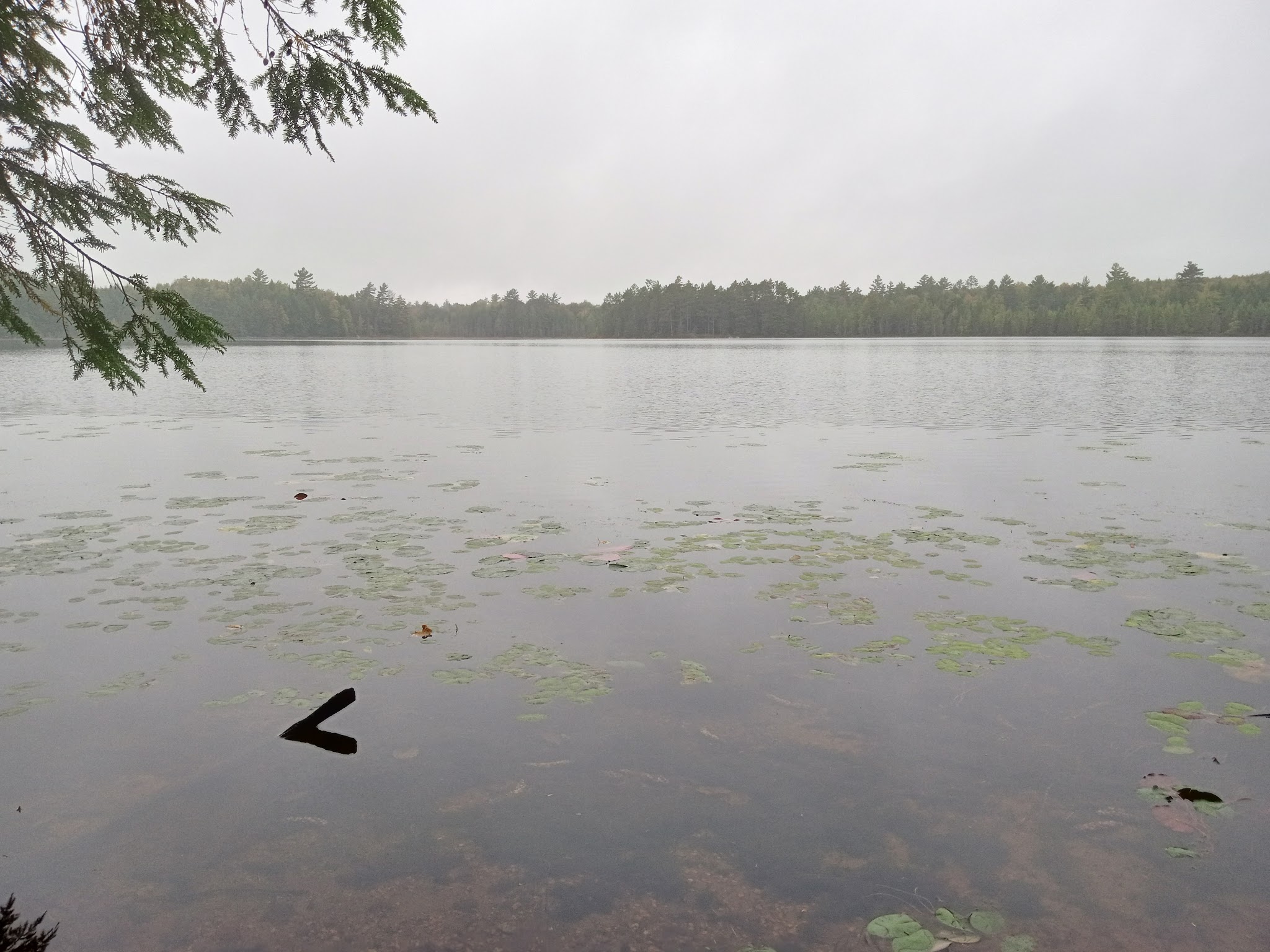 Wabasso Lake Recreation Area