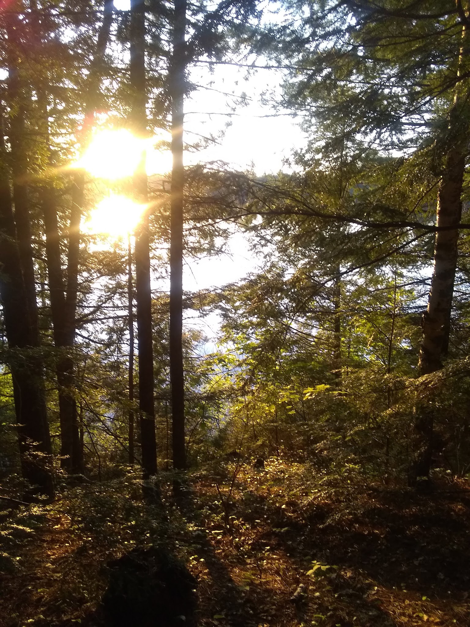 Wabasso Lake Recreation Area