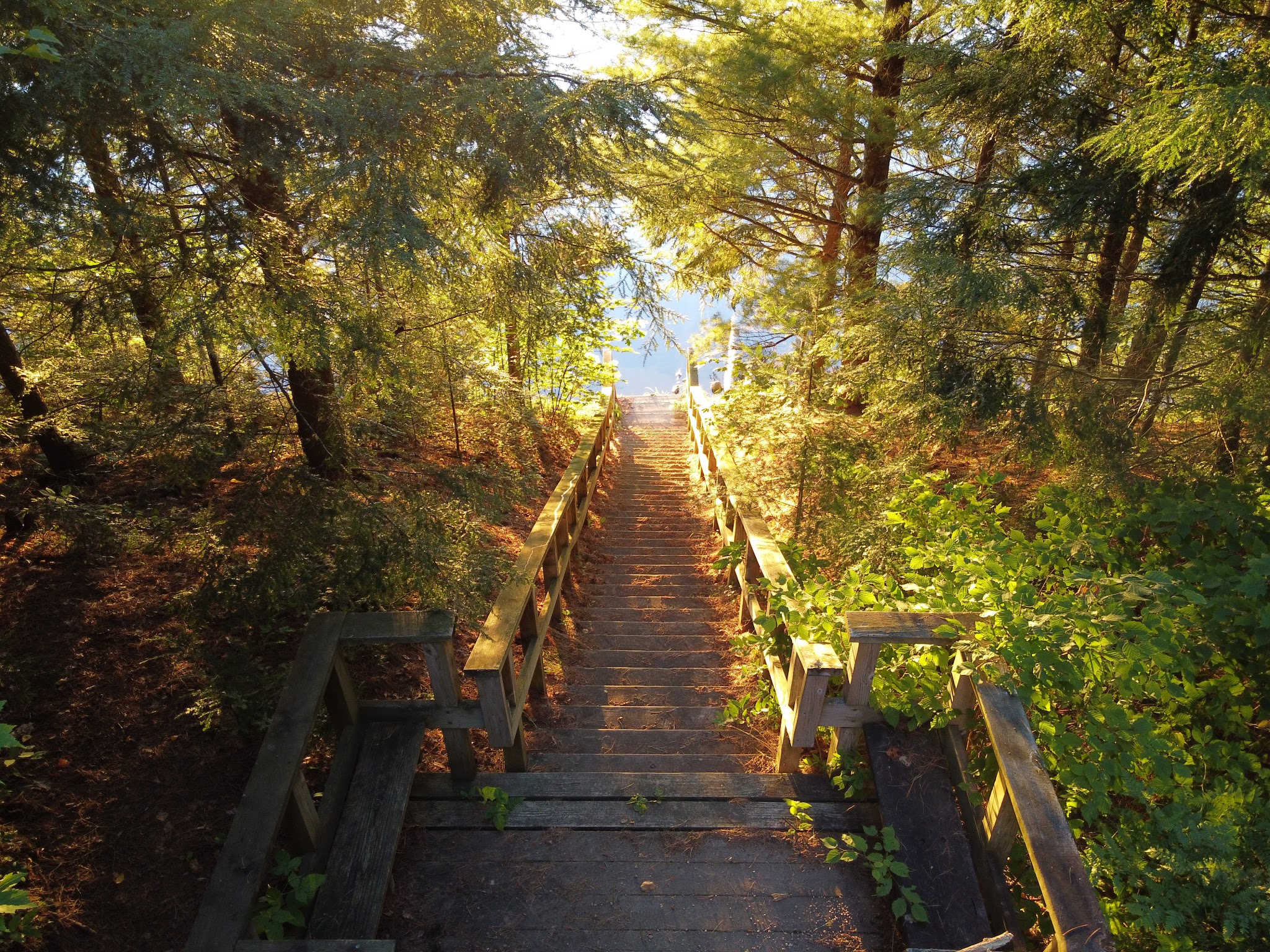 Wabasso Lake Recreation Area