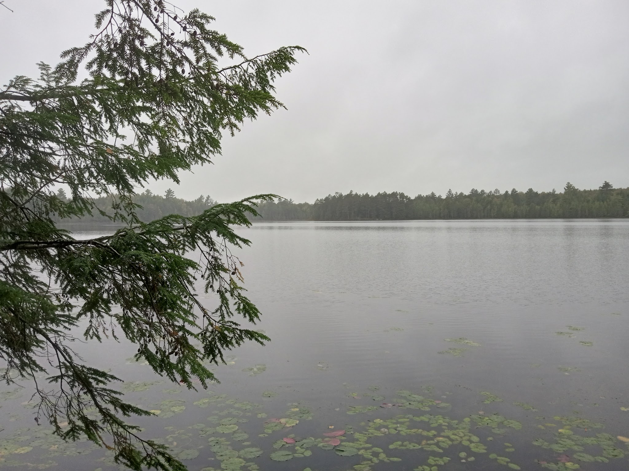 Wabasso Lake Recreation Area