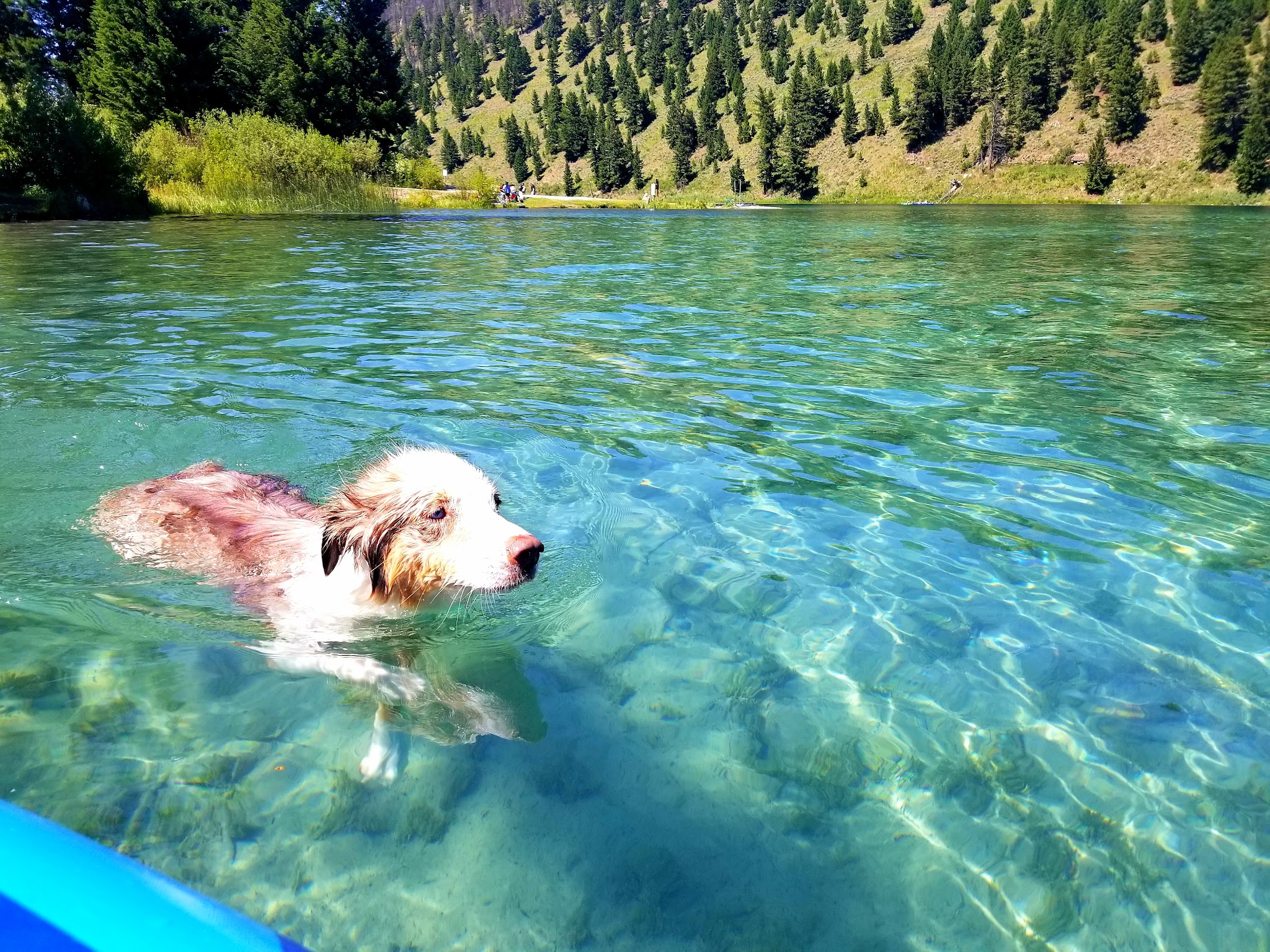 Wade Lake Campground And Picnic Areas