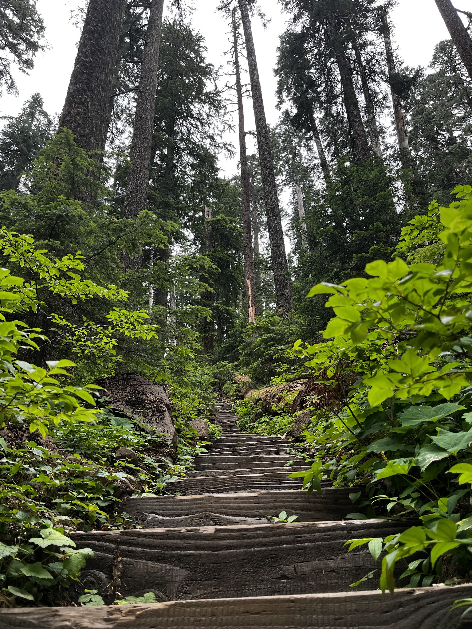 Wahtum Lake Campground