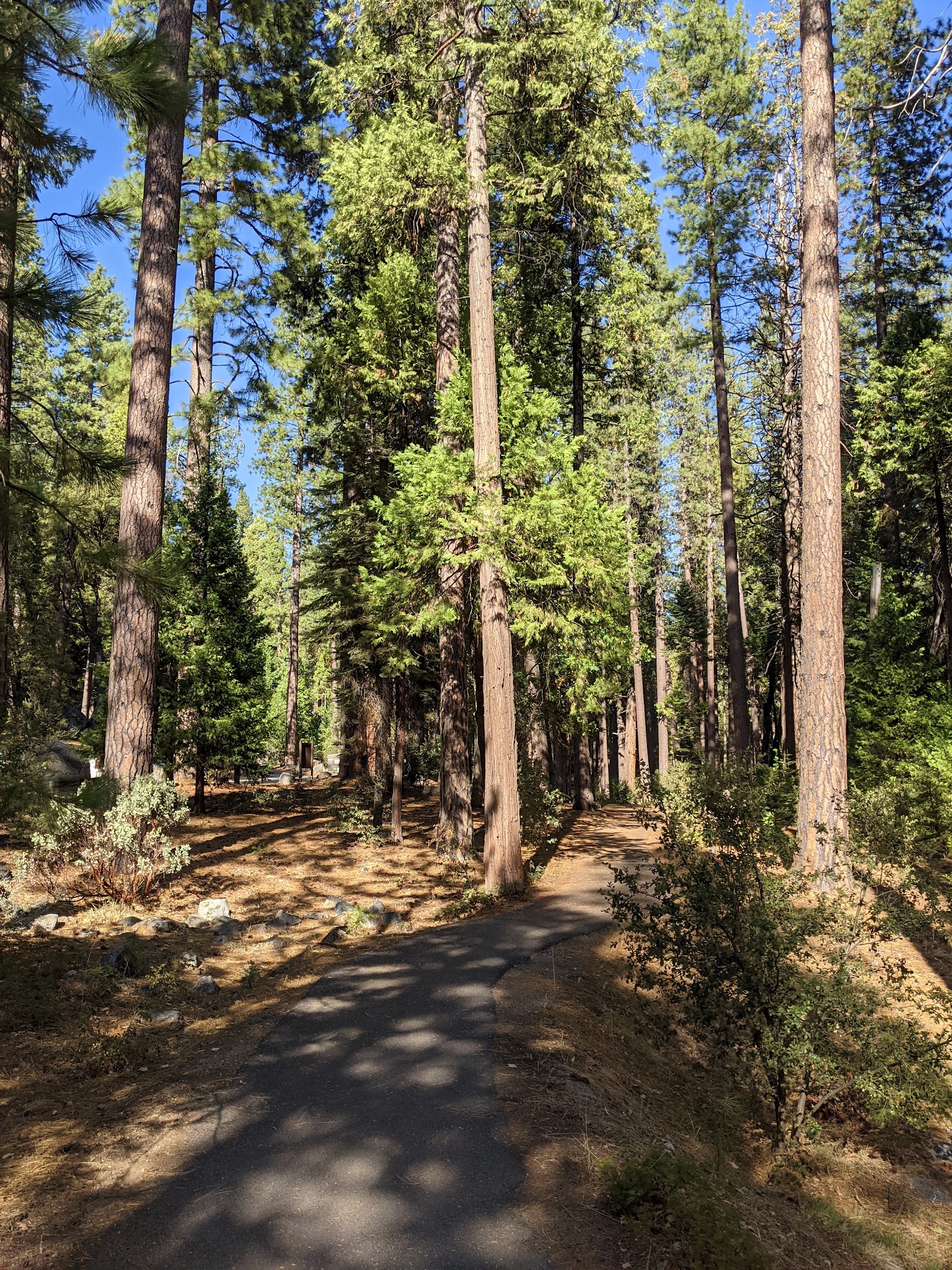 Wakalu Hep Yo (Wild River) Campground