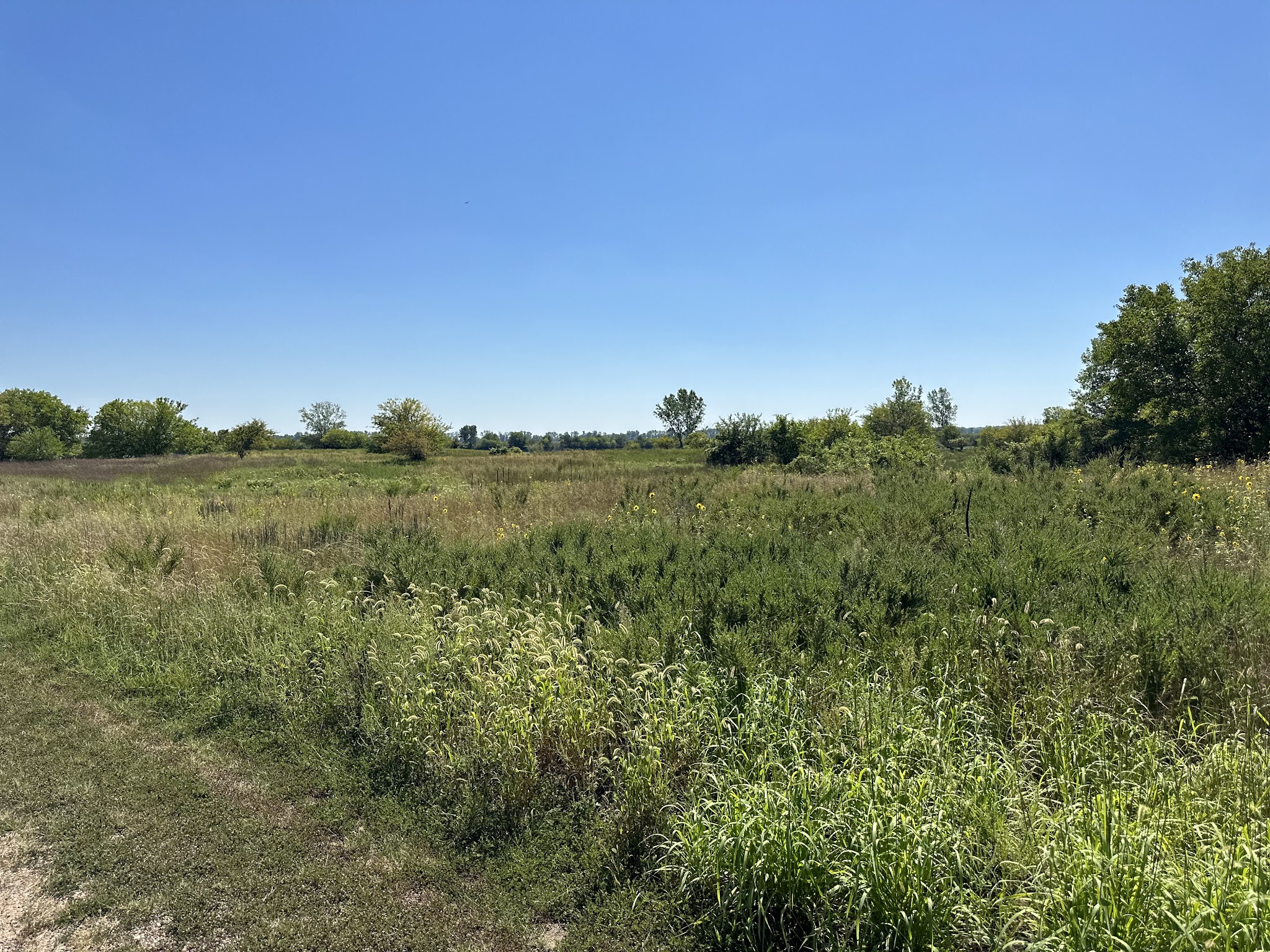 Wakonda Lake Campground