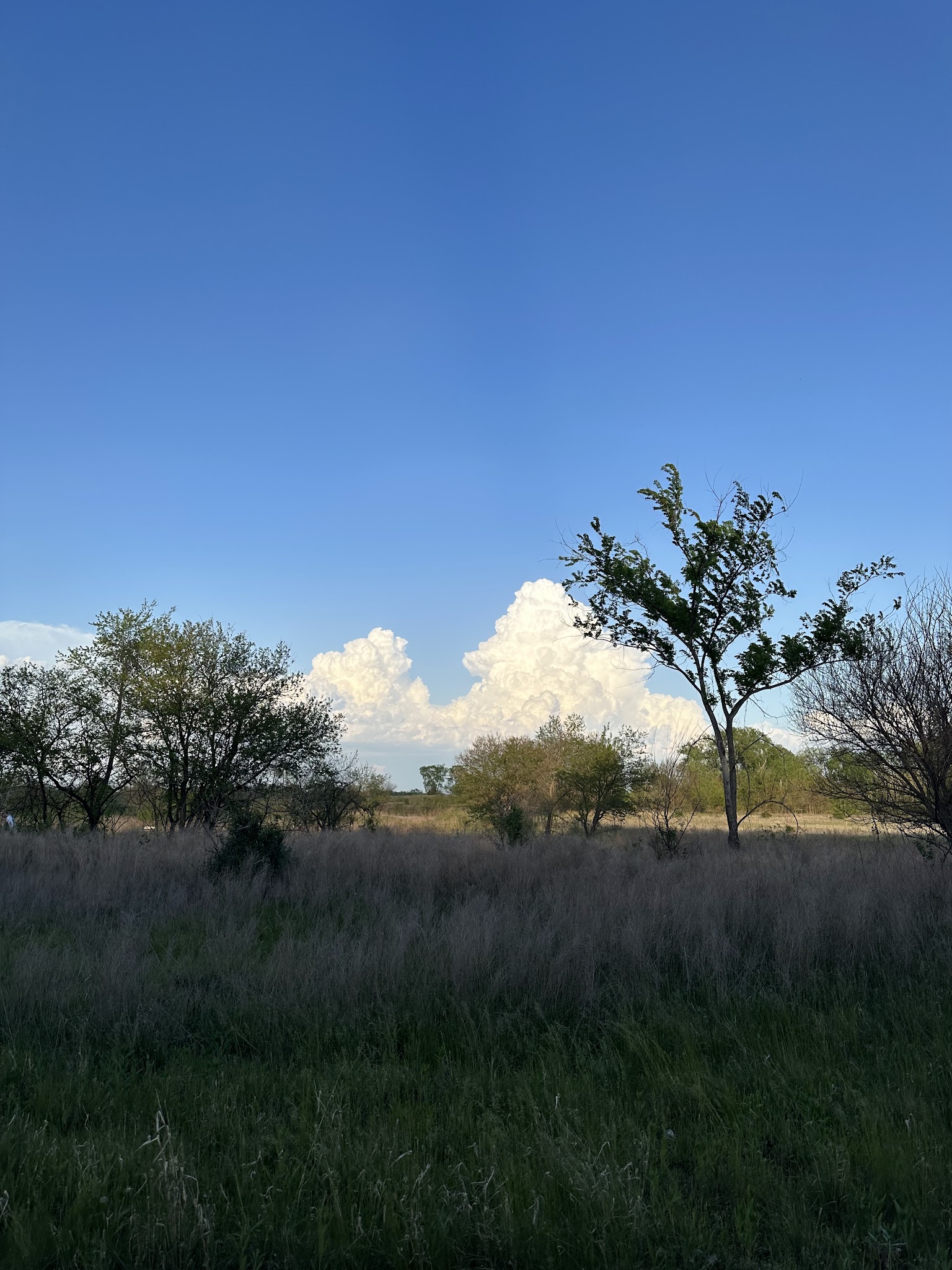 Wakonda Lake Campground