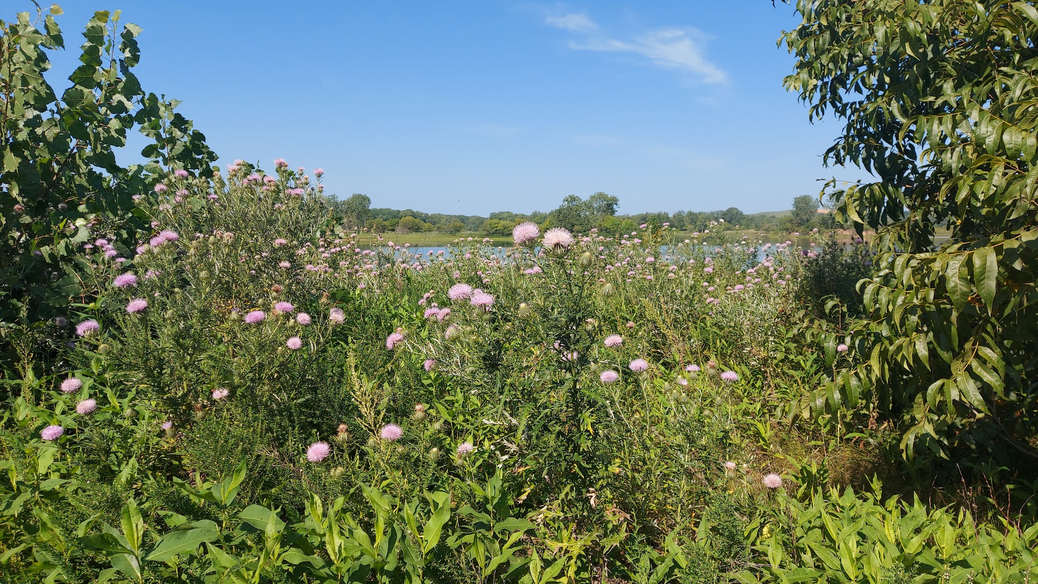 Wakonda Lake Campground