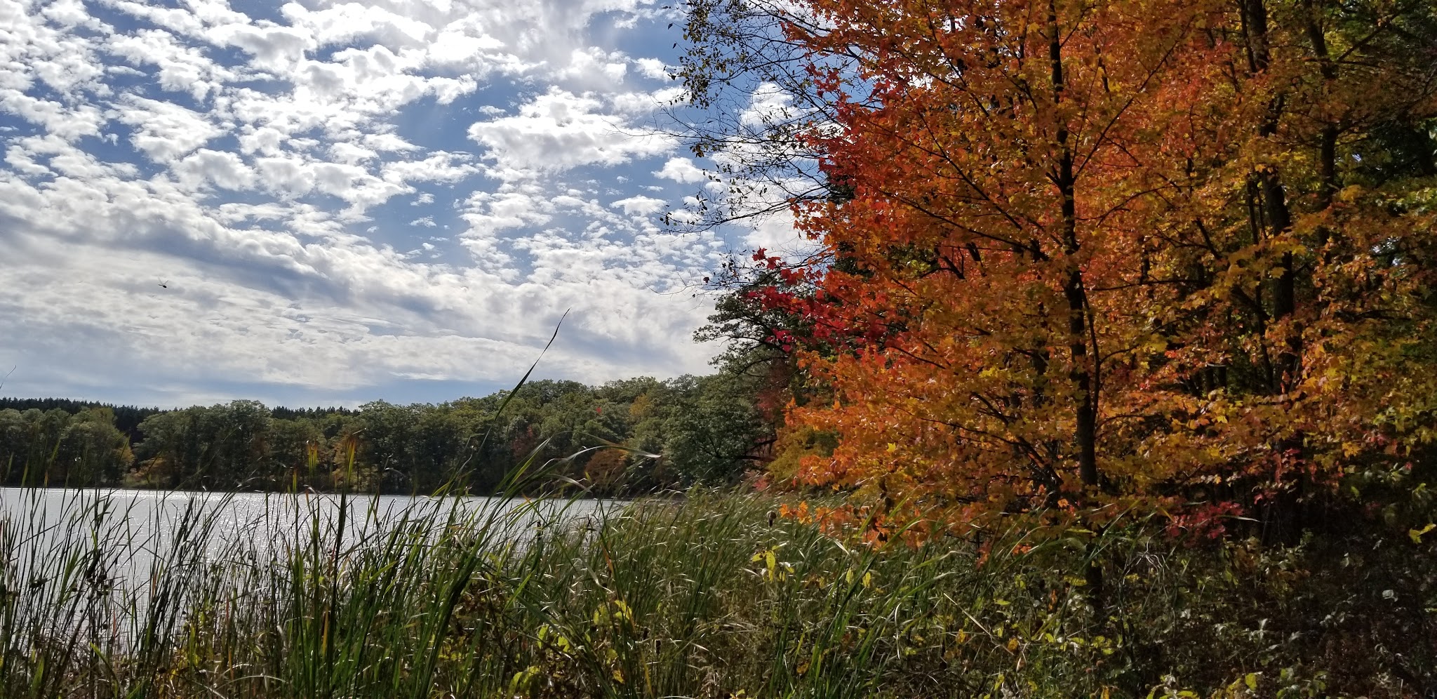 Walkup Lake Campground