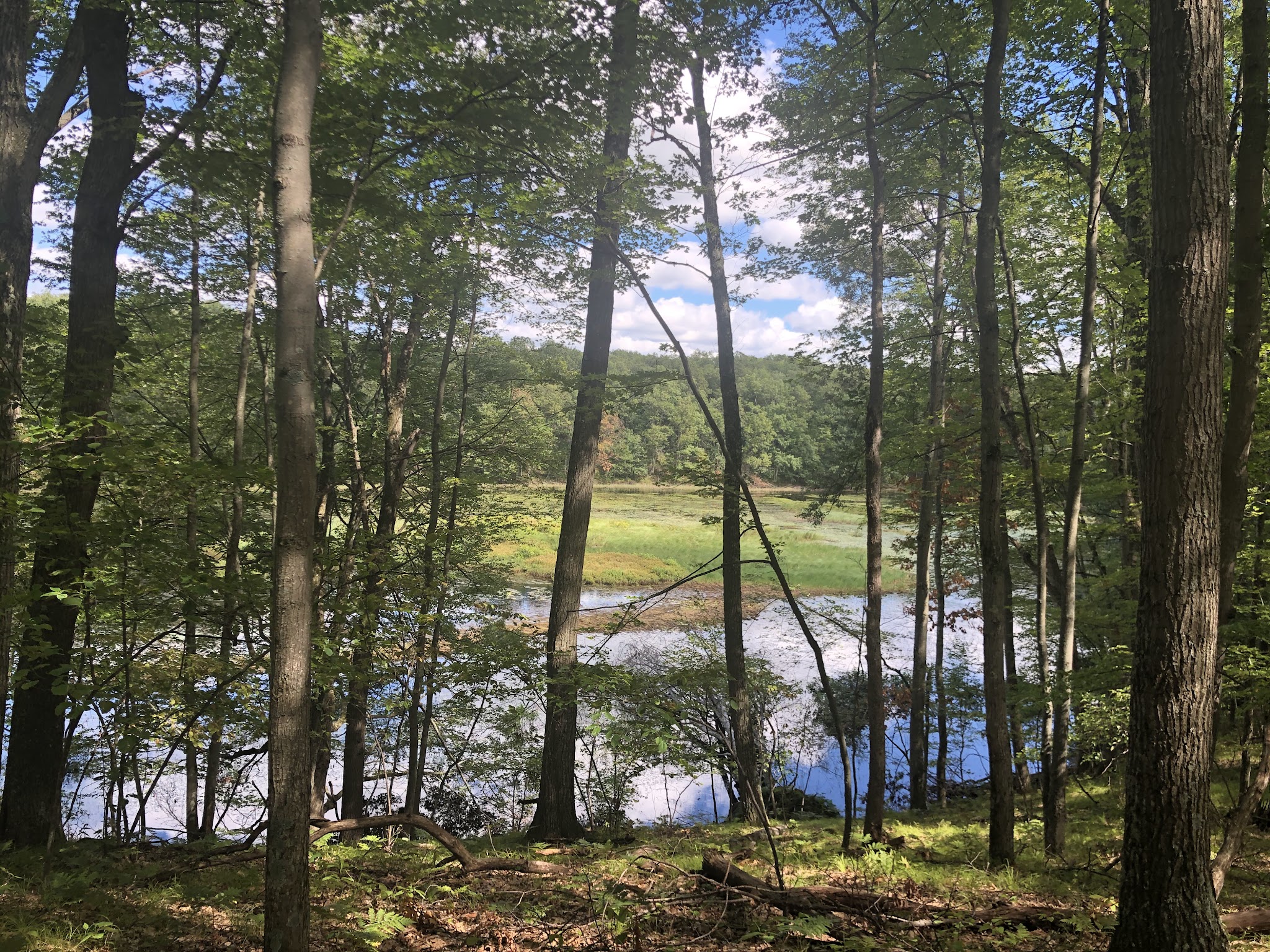 Walkup Lake Campground