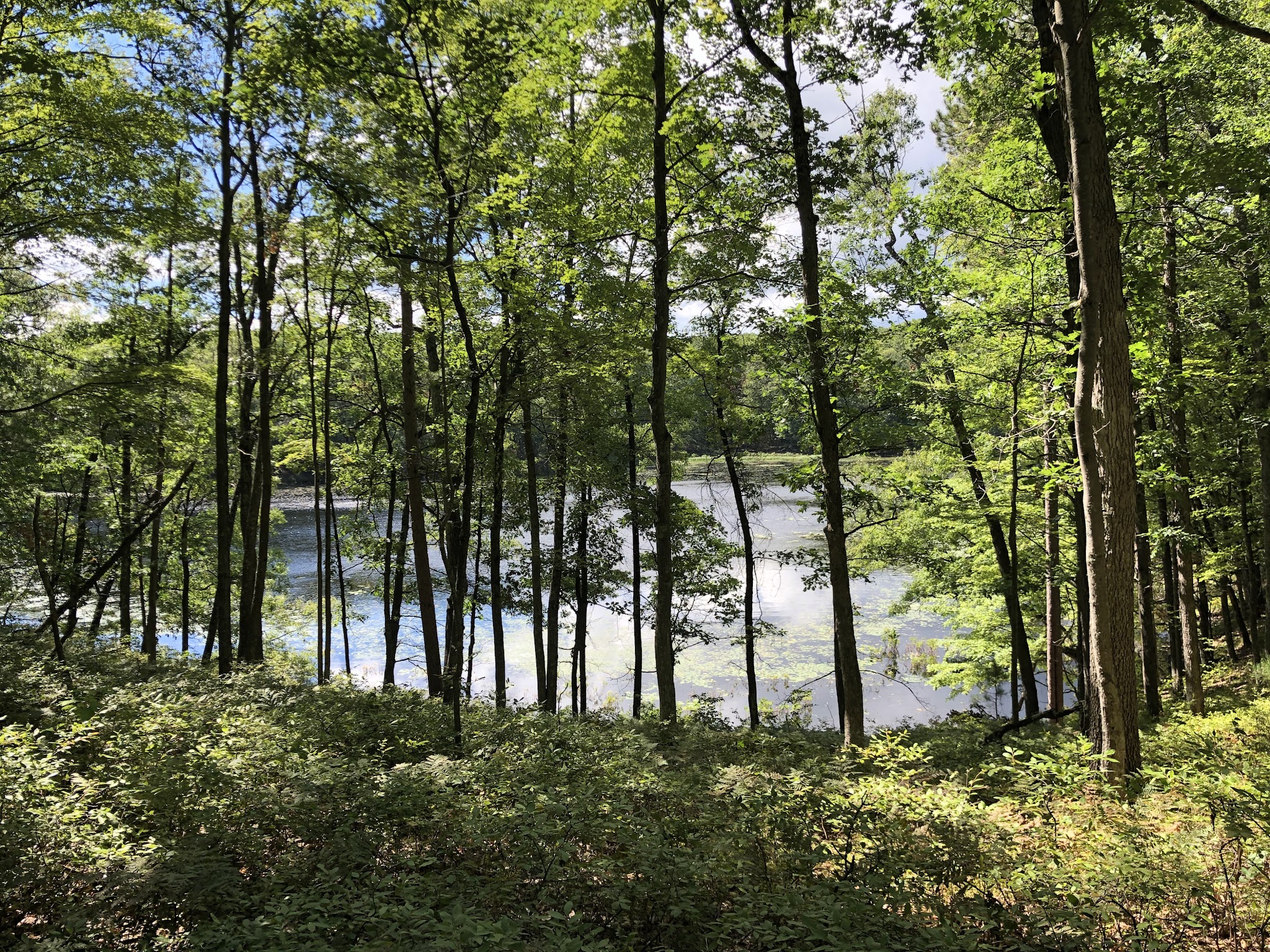Walkup Lake Campground