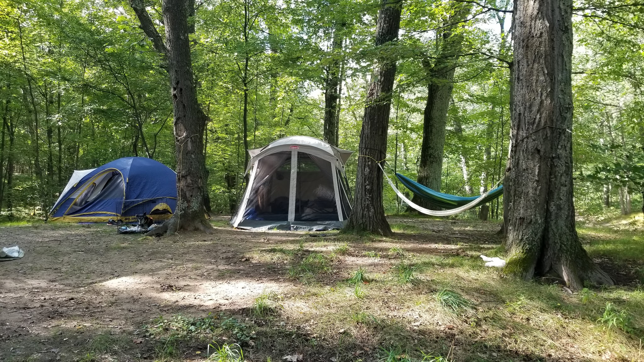 Walkup Lake Campground
