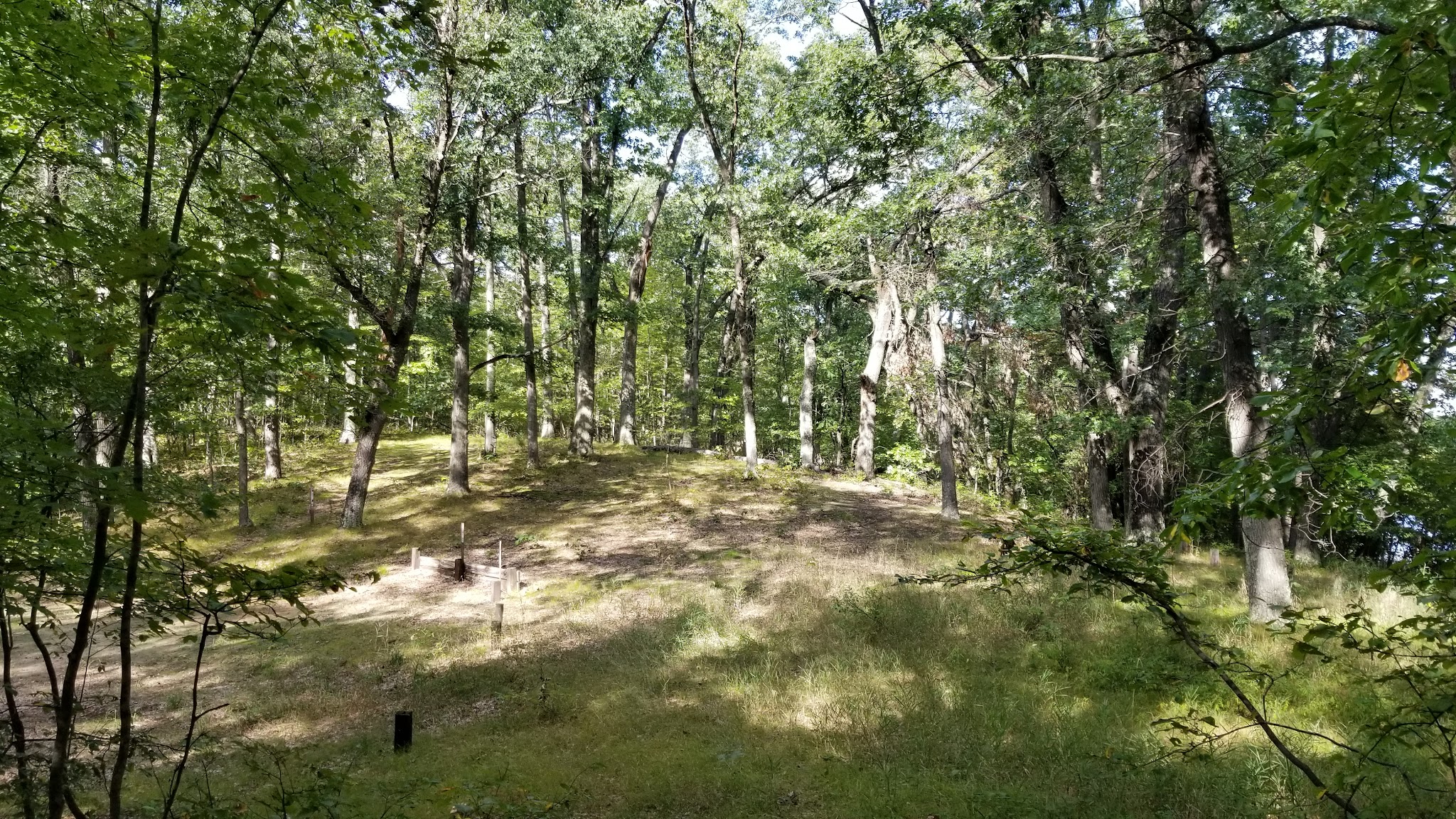 Walkup Lake Campground