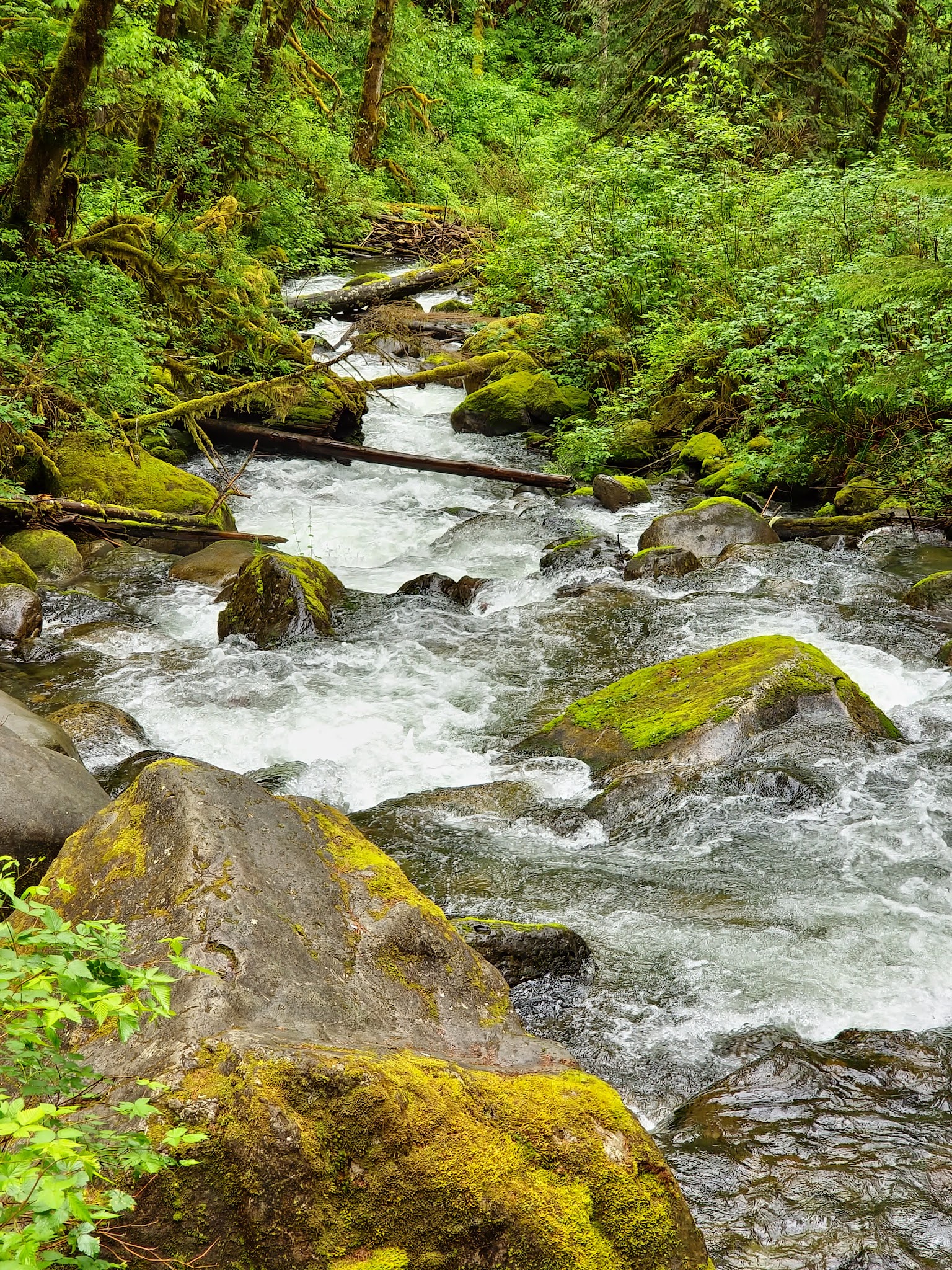 Wallace Falls State Park