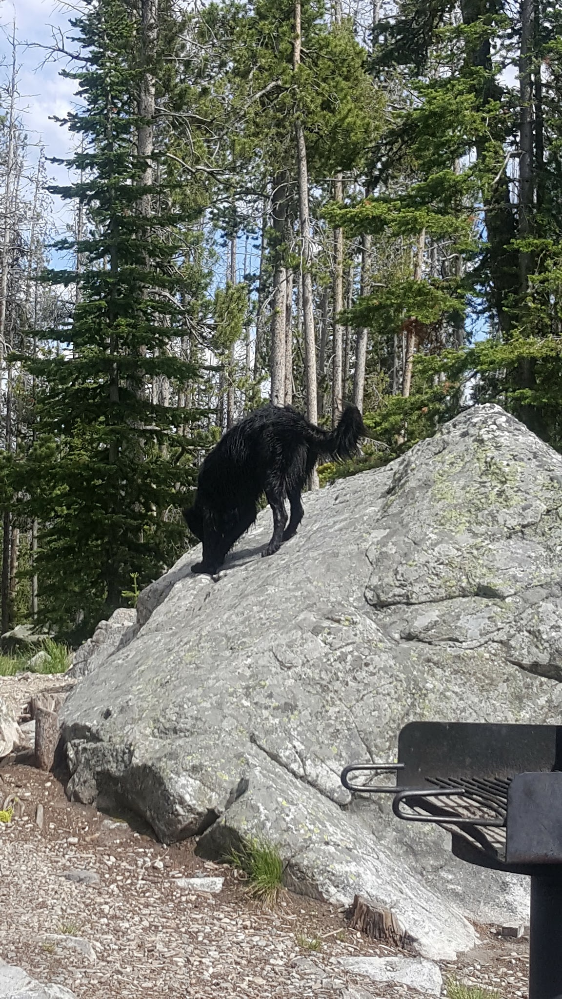 Wallace Lake Campground