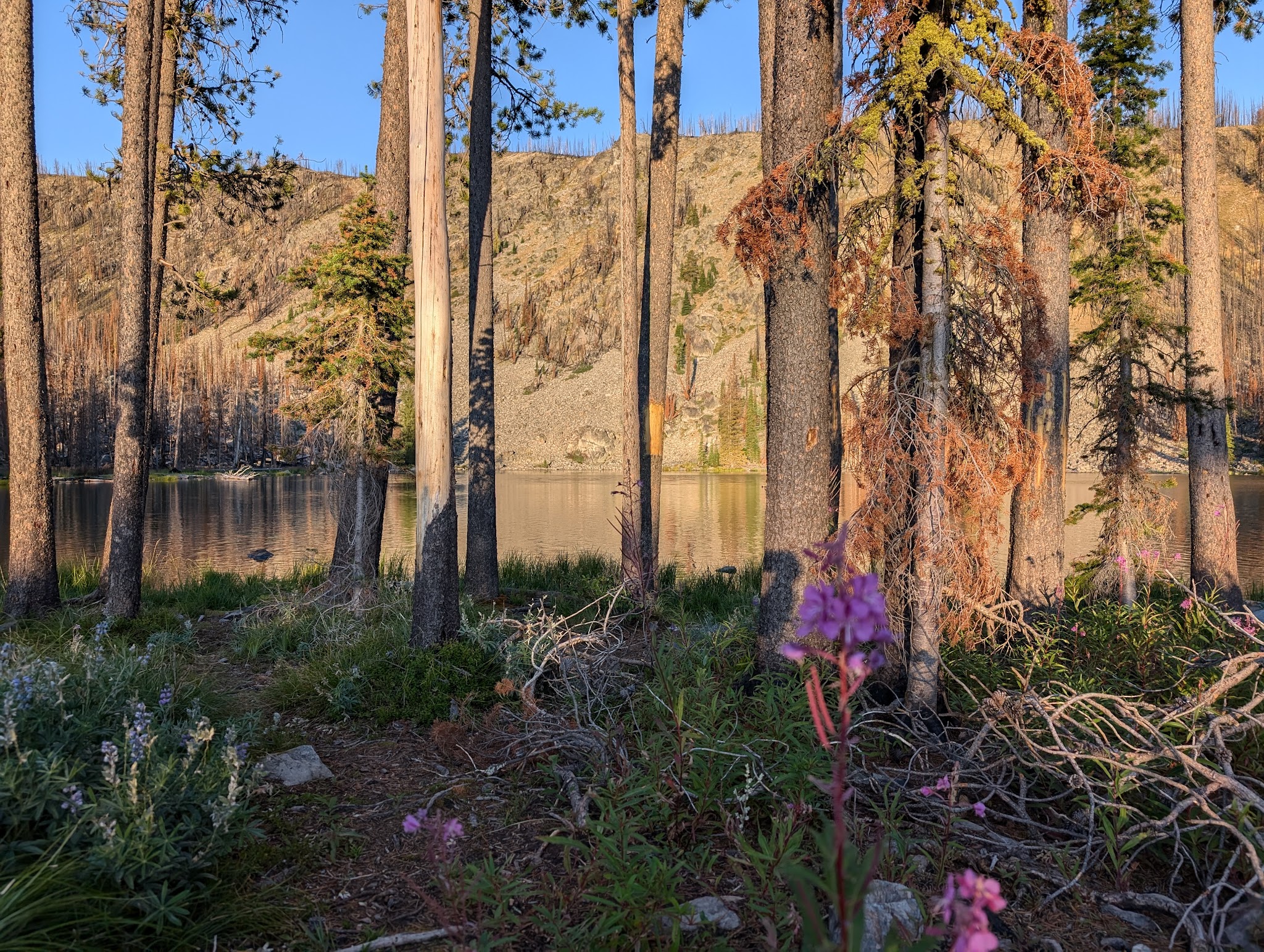 Wallace Lake Campground